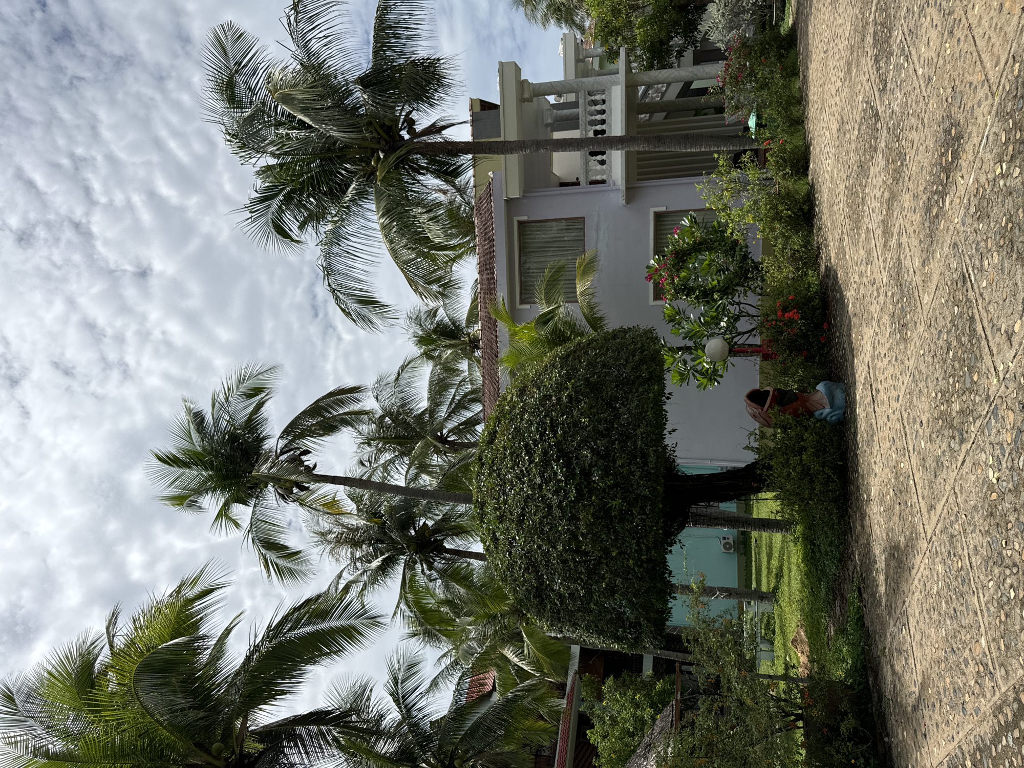 This media file captures a tranquil outdoor scene in Phu Thuy Ward, Vietnam, featuring a blend of tropical nature and architecture under a cloudy sky.
The main subject is a light-colored, possibly white or pale grey, multi-story building occupying the central and right portions of the image. Its upper floors feature white balconies with decorative balustrades, while the lower section shows several windows. A section with a reddish-brown tiled roof is also visible, suggesting a more traditional or older part of the structure.
Lush green vegetation is abundant throughout the image. Numerous tall palm trees with dense fronds, some bearing coconuts, are prominent, towering towards the cloudy sky that dominates the upper left. A large, rectangularly pruned hedge stands tall in the midground, adding to the cultivated landscape. Smaller bushes with vibrant red flowers are scattered near the building and along the paved path.
A wide, textured pathway, made of small stones or pebbles embedded in concrete and arranged in a diamond pattern, runs along the bottom and right edge of the frame. Towards the bottom right, a person is seen crouched amidst the greenery, wearing a red-orange top and blue bottoms, seemingly tending to the plants or observing something on the ground.
Other objects include a white spherical outdoor light fixture nestled among the plants near the path, and a partially obscured decorative pot or sculpture beside the crouched person. In the background, an outdoor air conditioning unit is mounted on a light blue wall.
The weather appears to be overcast or partly cloudy, with bright, diffused light suggesting it is daytime. The overall impression is one of a peaceful, well-maintained tropical environment. There is no visible text in the image.
