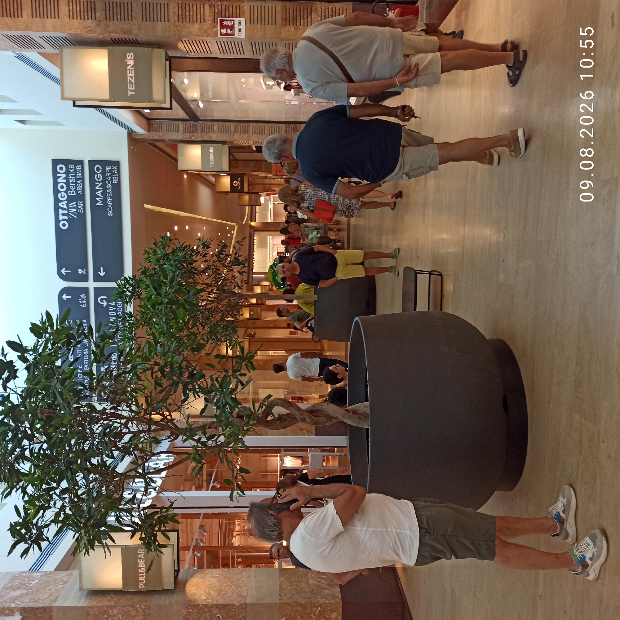 The image captures an indoor scene within a shopping mall in Molfetta, Italy. In the foreground, a man in a white t-shirt and khaki shorts is talking on a mobile phone, standing beside a large potted tree with a twisted trunk and green leaves. To his right, another man, wearing a dark blue t-shirt and yellow shorts, stands with his hands in his pockets, looking towards the camera. In the background, various individuals are seen walking, some with shopping bags. Retail store signage for "PULL&BEAR", "OTTAGONO", "ZARA", "Bershka", "MANGO", and "TEZENIS" are visible on the walls and hanging signs, indicating the commercial nature of the environment. The mall features marble-like wall paneling and tiled flooring. The lighting appears to be a combination of ambient overhead lights and illuminated store displays. A date and time stamp "09.08.2026 10:55" is present in the lower right corner of the image.