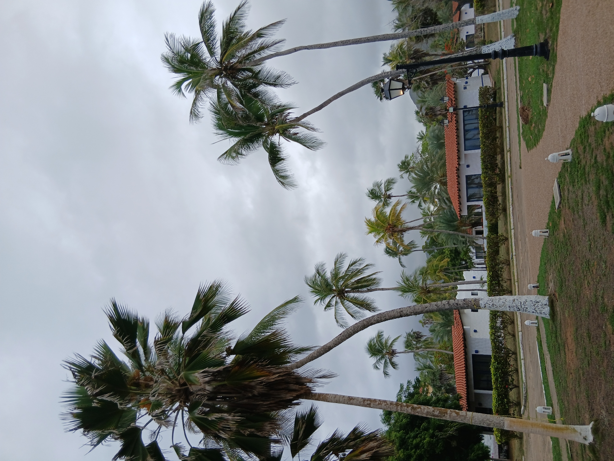 The image shows a coastal resort area on a cloudy day. In the foreground, several tall palm trees are prominent, with their fronds reaching towards the overcast sky. The trunks of some of these trees are painted white at the base. A pathway made of gravel winds through the scene, bordered by grass and small, white, lantern-like decorative lights. In the middle ground, a row of single-story white buildings with distinctive red-tiled roofs are visible, set behind a manicured hedge. The architecture suggests a tropical or Mediterranean style. Beyond the buildings, more palm trees and lush green vegetation create a dense backdrop. A black, ornate street lamp with a lit bulb stands near the pathway, adding to the ambiance of the resort. The overall scene evokes a sense of tropical tranquility, despite the cloudy weather. The location is identified as Playa El Agua, Venezuela. There are no people visible in the image.