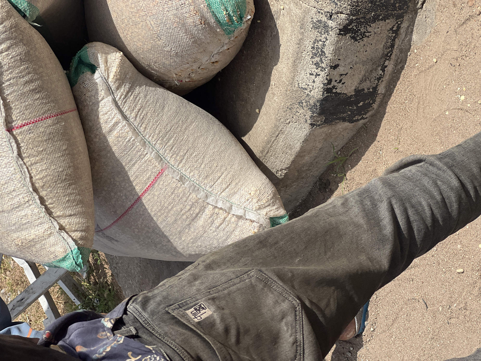 The image shows large sacks of grain, likely foodstuff, stacked outdoors on a concrete curb in Jalingo, Nigeria. The sacks are made of woven material and appear to be heavy, suggesting they contain a substantial amount of product. One sack is partially open, revealing a light-colored granular content. A person, seen from the waist down, is wearing dark-colored trousers with a visible logo on the right front pocket and a patterned shirt, standing next to the sacks. The ground is a mix of sand and dirt, with some sparse vegetation visible. The scene suggests a marketplace or storage area where goods are being prepared for transport or sale.