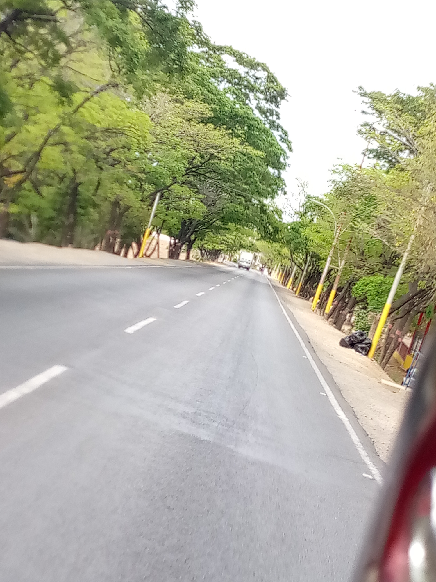 The image presents a perspective view down a straight, paved road in Las Barrancas, Venezuela. Lush green trees line both sides of the road, forming a natural, dense canopy overhead. The road surface features white dashed lines marking the lanes and a solid white line delineating the edge of the asphalt.
On the right side of the road, a dirt and gravel shoulder is visible, along with a row of light poles and tree trunks. Many of these tree trunks and pole bases are distinctively painted bright yellow. Two black trash bags are discarded on this right shoulder, nestled near the base of the trees. In the mid-distance, a white vehicle, possibly a van or truck, is visible on the road, heading further down the thoroughfare. The sky, seen between the tree branches, is bright and appears overcast or washed out, indicating daytime conditions, likely late morning or early afternoon. The scene conveys a sense of a quiet, tree-shaded thoroughfare. A blurry red and white object in the bottom right foreground suggests the photograph was taken from inside a moving vehicle. No visible text is present in the image.