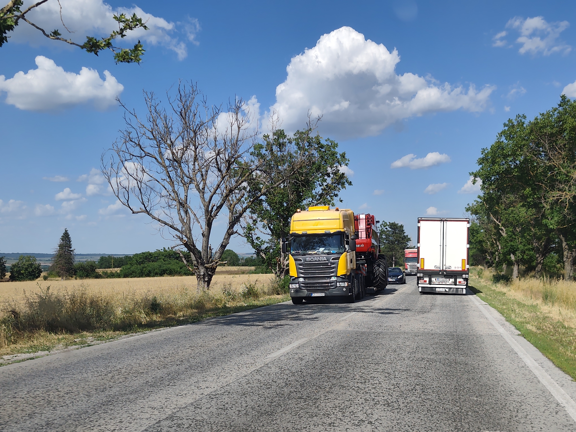 A Scania truck with a yellow cab is driving on a paved road, transporting a large red agricultural machine. The truck is in the foreground, on the right side of the road, in a lane. Behind it, other vehicles, including a white semi-trailer truck and a dark car, are also visible. The scene is set in a rural area with fields of golden crops on the left and a line of trees on the right. A bare, dead tree stands near the road on the left, and a vibrant green tree is further down the road on the right. The sky is blue with scattered white clouds, indicating fair weather. The time of day appears to be daytime, likely late morning or afternoon, given the bright sunlight and clear shadows. The road appears to be in a region with agricultural activity, possibly during harvest season. The license plate of the Scania truck is partially visible and reads "BH 7352 KT". The white semi-trailer truck has "SCHWITZER" written on its rear. The overall mood is one of travel and transportation in a countryside setting.