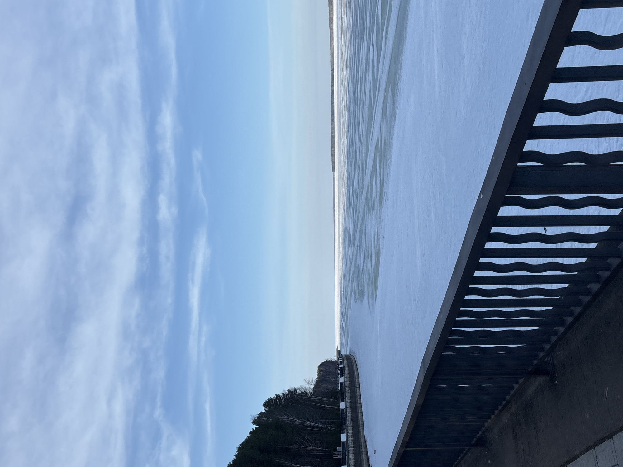 The image depicts a view from a bridge over a frozen body of water, likely a reservoir or wide river. The bridge has a dark railing with a wave-like design. The sky is pale blue with wispy clouds. On the left, beyond the bridge, there's a forested area. It is likely near the city of Chaikovsky, Russia, based on the location provided.
