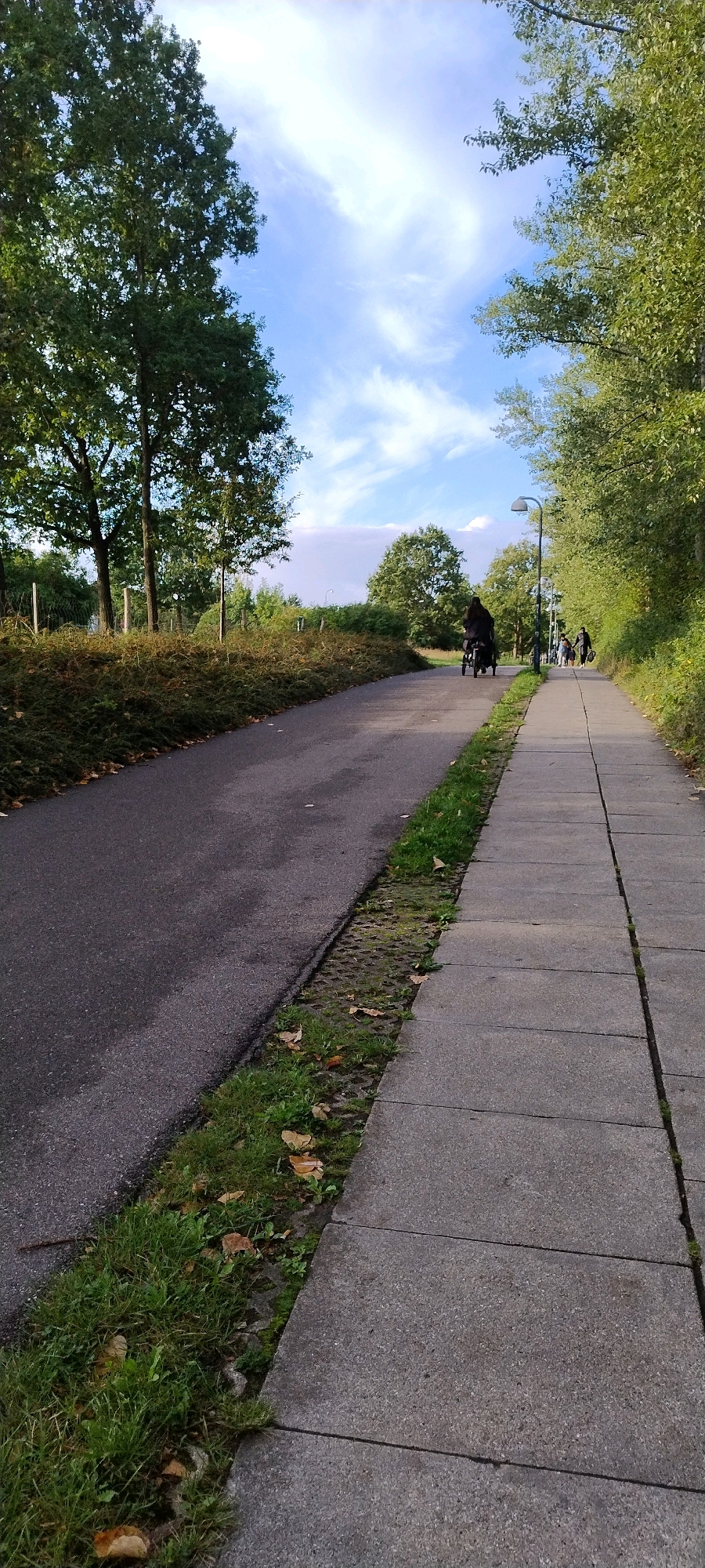 This is a vertical, eye-level, full shot of a paved pathway running alongside a road, surrounded by trees and vegetation. The pathway is divided into a road section on the left and a pedestrian sidewalk on the right. The road appears to be asphalt and is darker than the concrete sidewalk. The sidewalk is made of large, rectangular concrete slabs. A narrow strip of grass and some fallen leaves separates the road from the sidewalk.
In the distance, on the sidewalk, a person is riding a bicycle. Further ahead on the sidewalk, two more people are walking. The background features lush green trees and bushes on both sides of the pathway. The sky is visible above, with patches of blue and white clouds. A street lamp is visible on the right side of the sidewalk, near the group of people.
The scene appears to be in a park or a suburban area. Considering the context provided, this scene is located in Ishøj, Denmark, likely in a park or recreational area within the city.