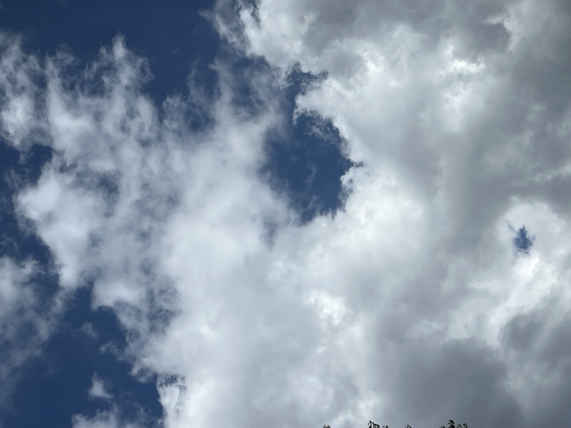 The media file is a medium-shot, eye-level, horizontal photograph of a cloudy sky. The sky is a deep blue, with scattered white and gray clouds. Some clouds are wispy and translucent, while others are thick and opaque. The clouds are arranged in a dynamic pattern, with some areas of clear blue sky visible.
The photograph appears to have been taken on a bright, overcast day, likely in the afternoon. The lighting is diffused, suggesting a cloudy or partly cloudy condition. There are no visible people, objects, or specific location cues, except for the general context of a sky that could be anywhere. The overall mood of the image is serene and expansive, evoking a sense of natural beauty and the vastness of the sky. There is no visible text in the image.
