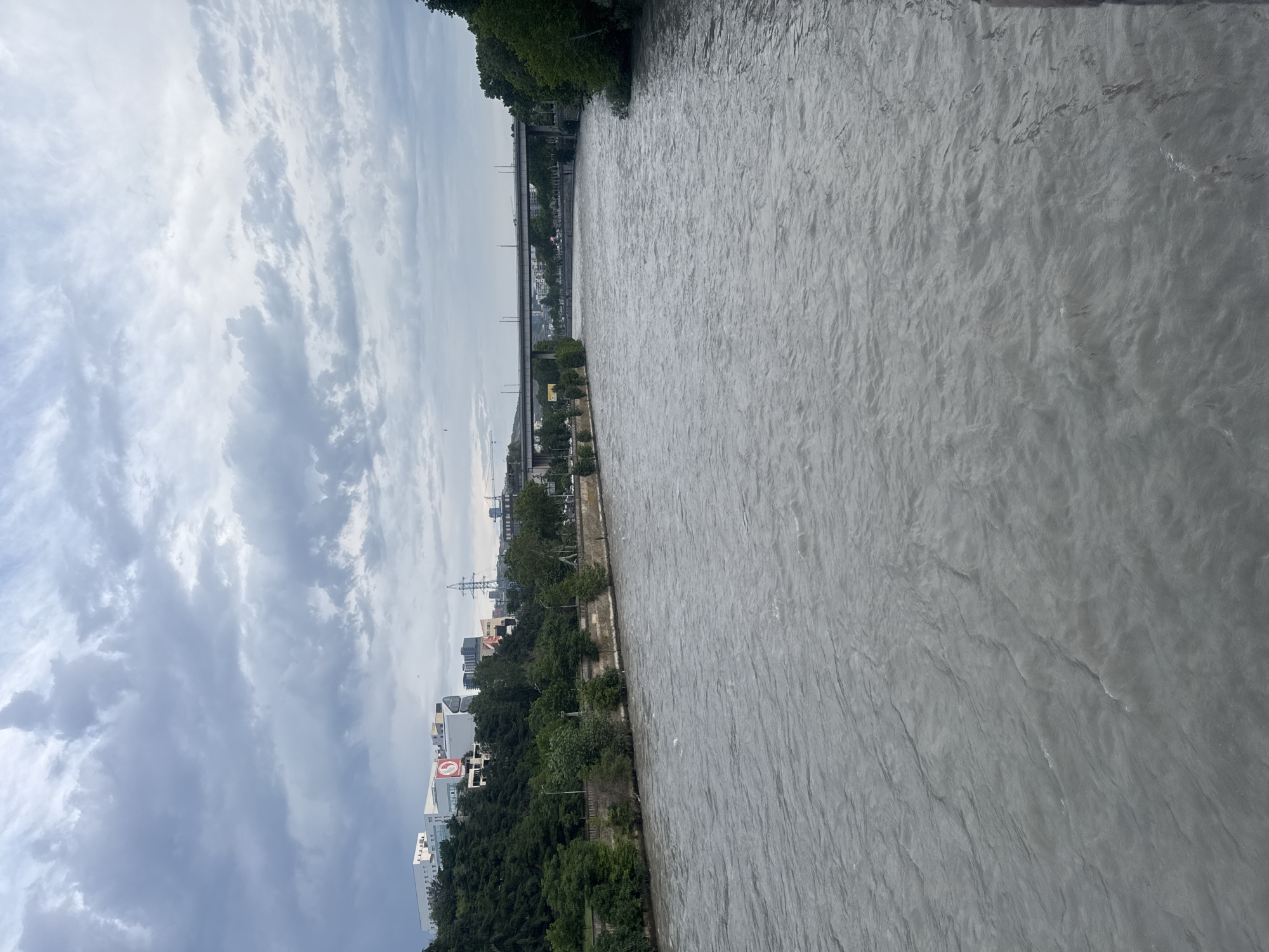 The image captures a wide, murky river in Tbilisi, Georgia, likely the Kura River, flowing under a cloudy sky. The river occupies the majority of the frame, with visible ripples and currents indicating movement. On the left bank, a steep, tree-covered embankment rises, topped by several modern buildings, including one with a large red circular logo. Further back, an industrial-looking structure with a tall tower is visible, along with more city buildings. A retaining wall with streetlights and trees lines the riverbank. A large, multi-lane bridge spans the river in the distance, with vehicles visible on it. The right bank is also lined with trees, suggesting a green, urban riverside. The overall impression is of an overcast day in an urban setting, with the river as the central natural element.