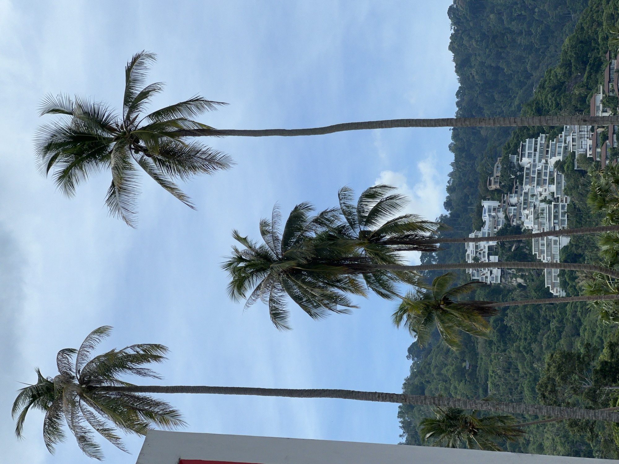 This media file depicts a tropical scene with a focus on several prominent palm trees against a backdrop of lush green mountains and a hazy sky. In the distance, a cluster of white buildings is visible, cascading down the mountainside, suggesting a resort or residential development. The palm trees, with their fronds spread out, are the primary subjects, occupying the foreground and mid-ground. The image appears to have been taken during the daytime, with the sky indicating overcast or partly cloudy conditions. The overall impression is one of a serene, vacation-like atmosphere, typical of a coastal tropical location. The specific location is identified as Baan Hua Thanon, Thailand. No people or specific activities are visible, and there is no visible text within the image. The orientation of the image is portrait, with the palm trees and buildings appearing to be on a slope.