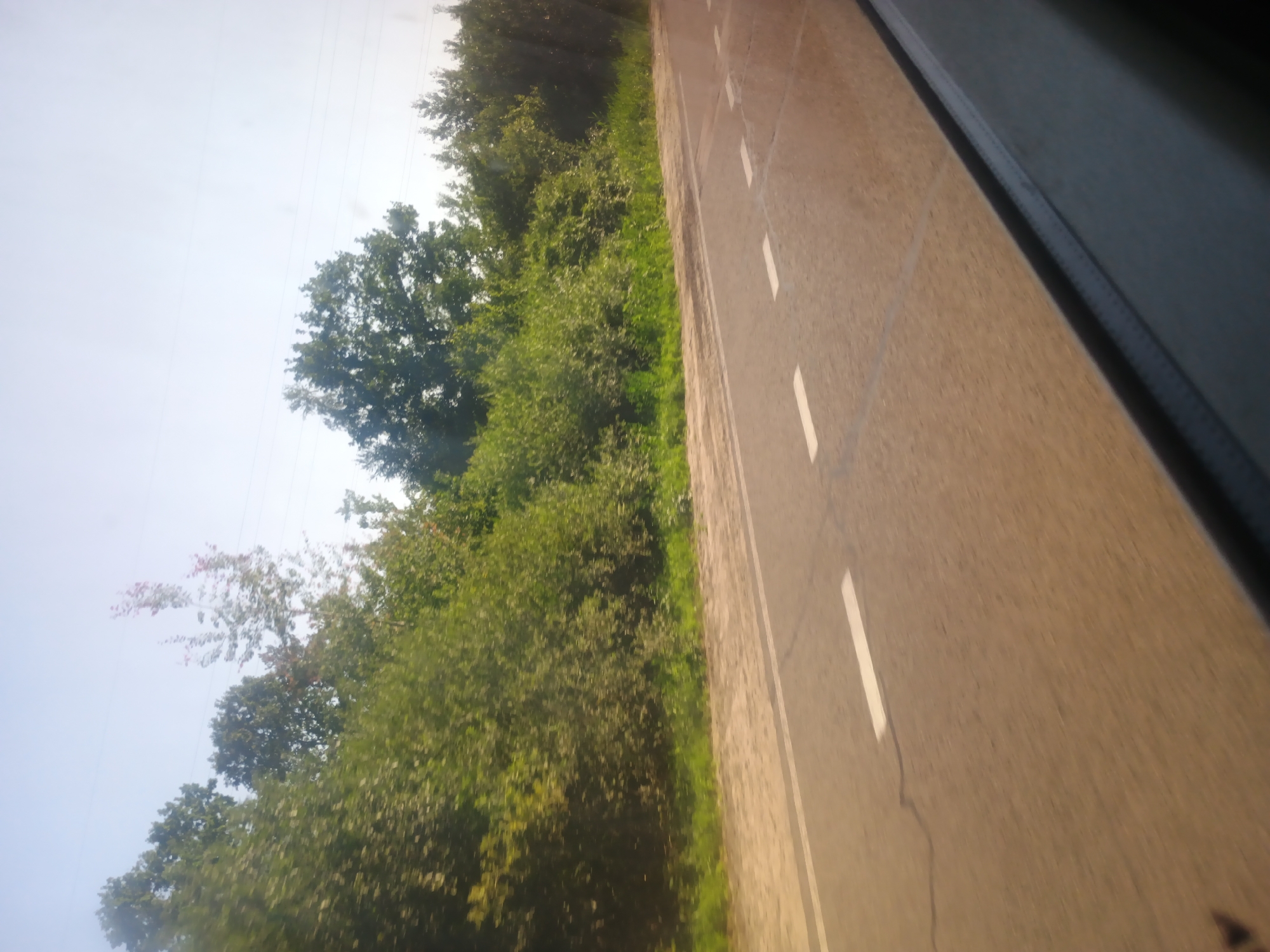 The image shows a road with white markings, bordered by lush green trees and vegetation. The perspective suggests the photo was taken from a moving vehicle, likely a car, looking out the window. The road is paved and appears to be a highway or a significant road, with a slight curve visible. The trees are dense and full, indicating a time of year with ample foliage, possibly spring or summer. The sky is a pale blue, suggesting daytime. The overall scene evokes a sense of travel and natural scenery. There is no visible text in the image. The orientation of the image is sideways, which can be disorienting but also emphasizes the motion of travel. The dark edge on the right side of the image is likely the window frame of the vehicle. The scene appears peaceful and scenic, hinting at a journey through a rural or semi-rural area.