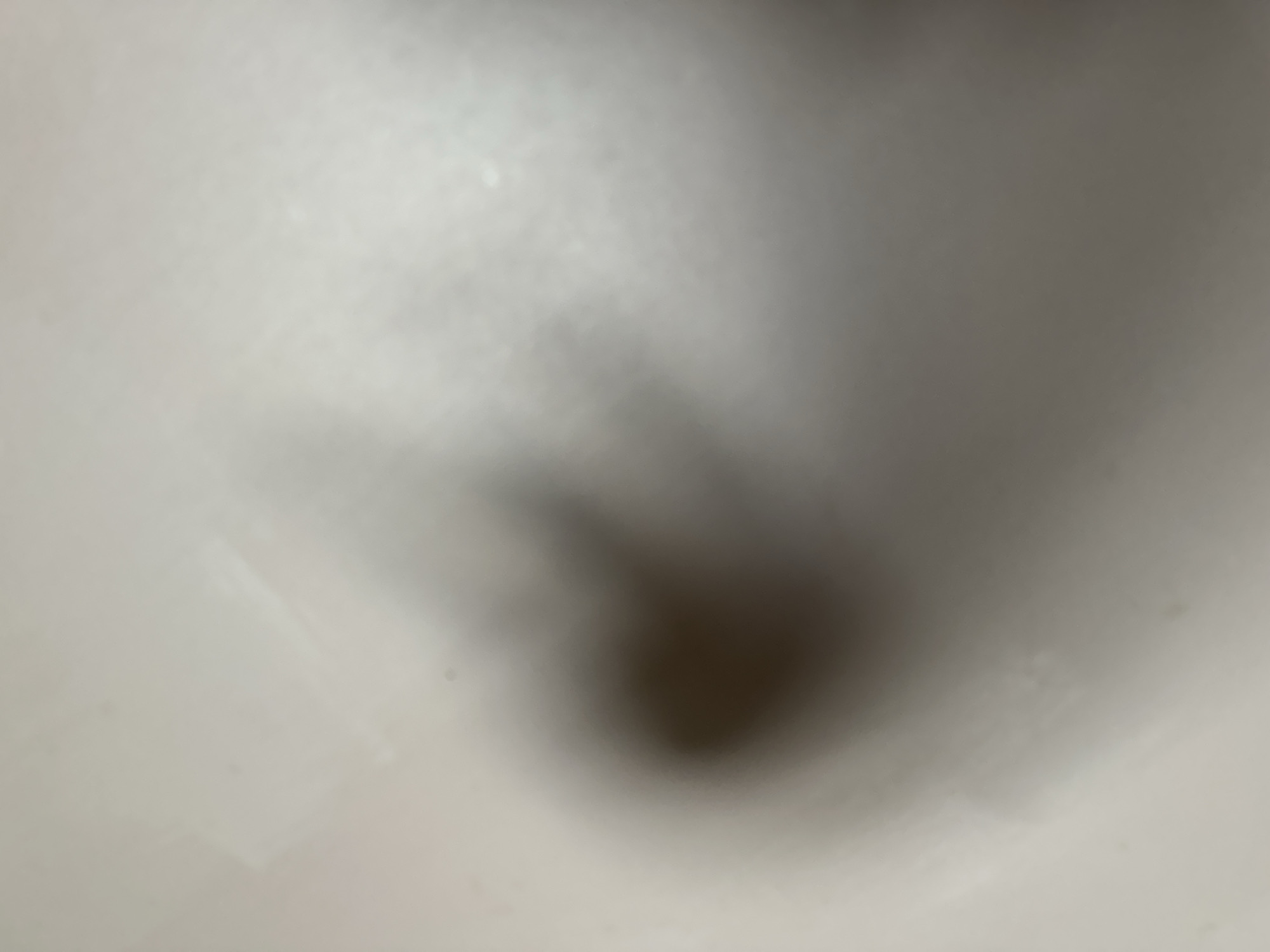 The image is a very blurry, abstract close-up shot of what appears to be a textured, light-colored surface. A dark, shadowy form is present in the center-right of the frame, creating a stark contrast against the lighter background. The lighting is diffused, with some brighter areas suggesting a light source somewhere above and to the left of the frame. There are no discernible people, objects, or scene details, making it impossible to determine the activity or event taking place. The setting, time of day, weather, location cues, and emotions are all completely unidentifiable due to the extreme lack of focus. No text is visible in the image. The overall impression is one of ambiguity and a lack of clear definition.