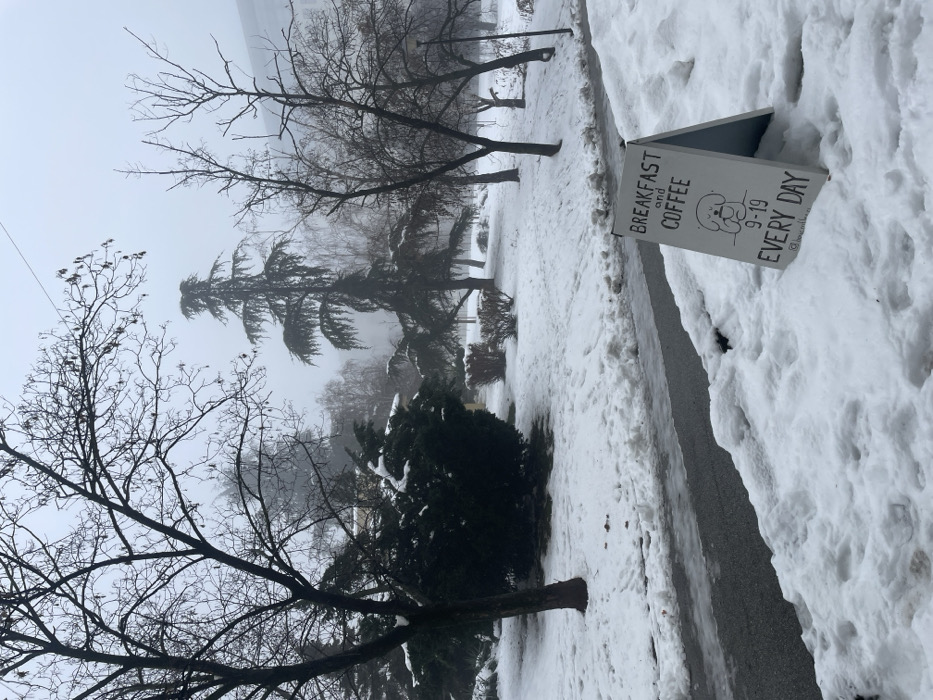 The image captures a snow-covered urban green space or park in Belgrade, Serbia, under an overcast and hazy sky. In the immediate foreground on the right, a white A-frame sign with blue edges is partially embedded in the snow. The sign reads "BREAKFAST and COFFEE," features a black line drawing of a dog's head, specifies "9-19 EVERY DAY," and includes a small, unconfirmed social media handle, likely "@boo.milk.tea."
A dark asphalt or paved pathway, partially cleared of snow with visible icy patches, runs diagonally from the lower left towards the mid-ground. The ground throughout the scene is uniformly covered in a layer of white snow, showing scattered footprints.
The landscape is populated by numerous trees and shrubs. Predominant are deciduous trees with bare, dark branches, contrasting with the snow. Several evergreen shrubs and a tall conifer are also visible, their foliage dusted with snow. A light-colored building is faintly discernible through the atmospheric haze in the distant background on the right. No individuals or active subjects are present within the frame.