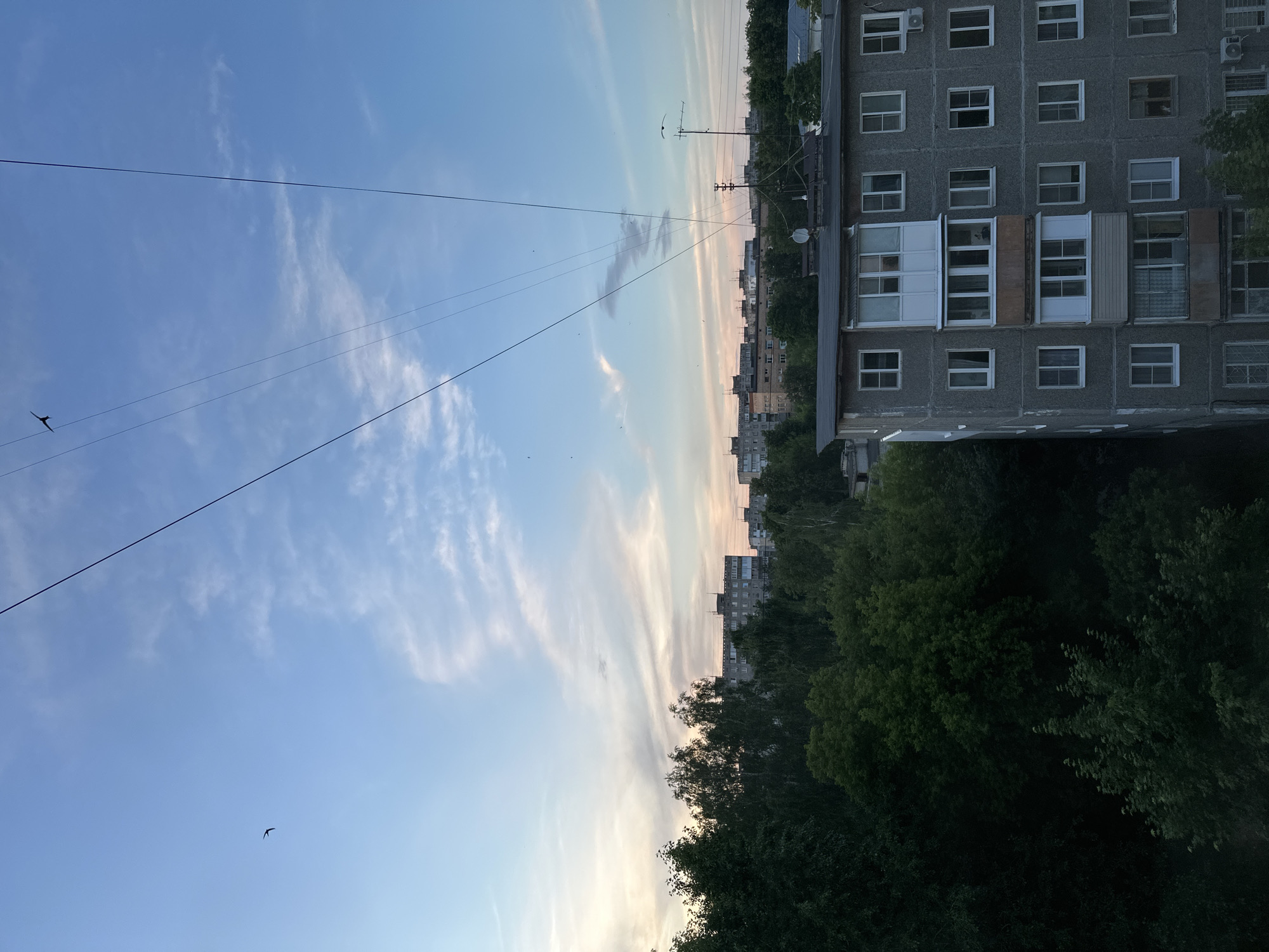 A medium shot captures a city skyline at dusk, as seen from a high vantage point. In the foreground, the side of a gray, multi-story apartment building is visible, with numerous white-framed windows. A balcony with white siding and glass panels juts out from the building's facade. To the left of the building, dense green trees fill the frame, obscuring the lower portions of distant structures. The middle ground features a row of apartment buildings, their flat roofs and repetitive window designs indicative of Soviet-era architecture. Beyond these, more buildings are faintly visible, blending into the horizon. The sky above is a gradient of soft blue, transitioning to hues of pink and orange near the horizon, suggesting the setting sun. Wispy clouds streak across the sky, and several power lines crisscross the upper portion of the image. Two birds are silhouetted against the sky, one in the upper left quadrant and another in the upper right, near a tall antenna. The overall impression is of a residential urban landscape during twilight.