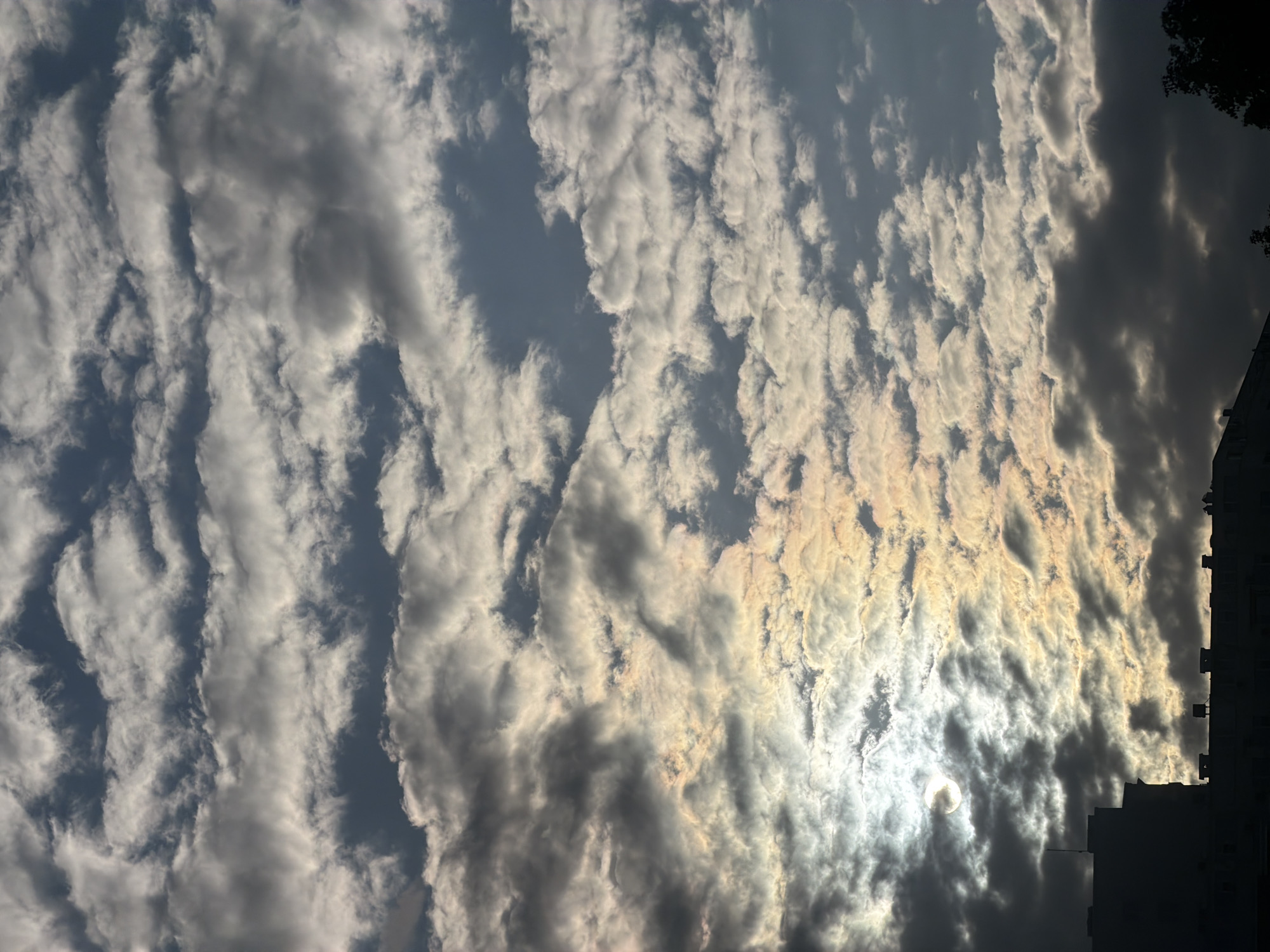 The image captures a sky filled with altocumulus clouds, some illuminated with a golden hue from the setting sun. The clouds display varying shades of gray, indicating different densities and light interactions. On the right side of the frame, the silhouette of a tall building is visible against the bright sky. The sun is partially obscured by clouds, creating a diffused glow. Based on the architectural style of the building, the picture was most likely taken in the city of Sofia, Bulgaria. Additionally, a few leaves are barely visible in the upper right corner of the image.