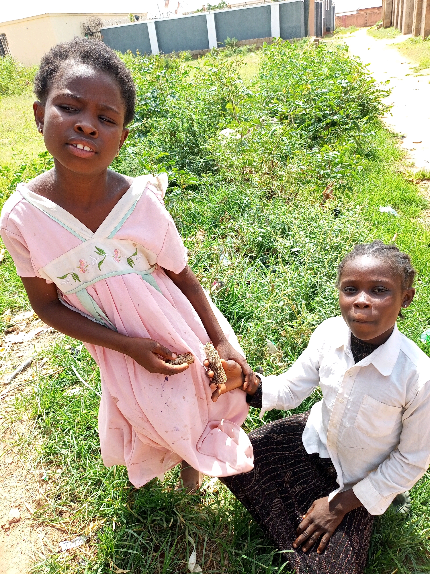 Two young girls are shown outdoors in an urban environment, likely in Tempure, Nigeria. The girl on the left, wearing a pink dress with embroidered flowers and light blue trim, is looking towards the camera with an alert expression. She is holding two dried corn cobs. The girl on the right, seated and wearing a white button-down shirt and a dark patterned skirt, is also looking towards the camera. She has braids and is wearing a small earring. Both girls appear to be of African descent.
The background consists of overgrown green vegetation, including grasses and bushes, with a dirt path and buildings visible in the distance. The lighting suggests it is daytime, with sunlight casting shadows. The ground is a mixture of soil and grass, with some litter visible on the ground. The overall scene depicts a common outdoor environment in a residential area.