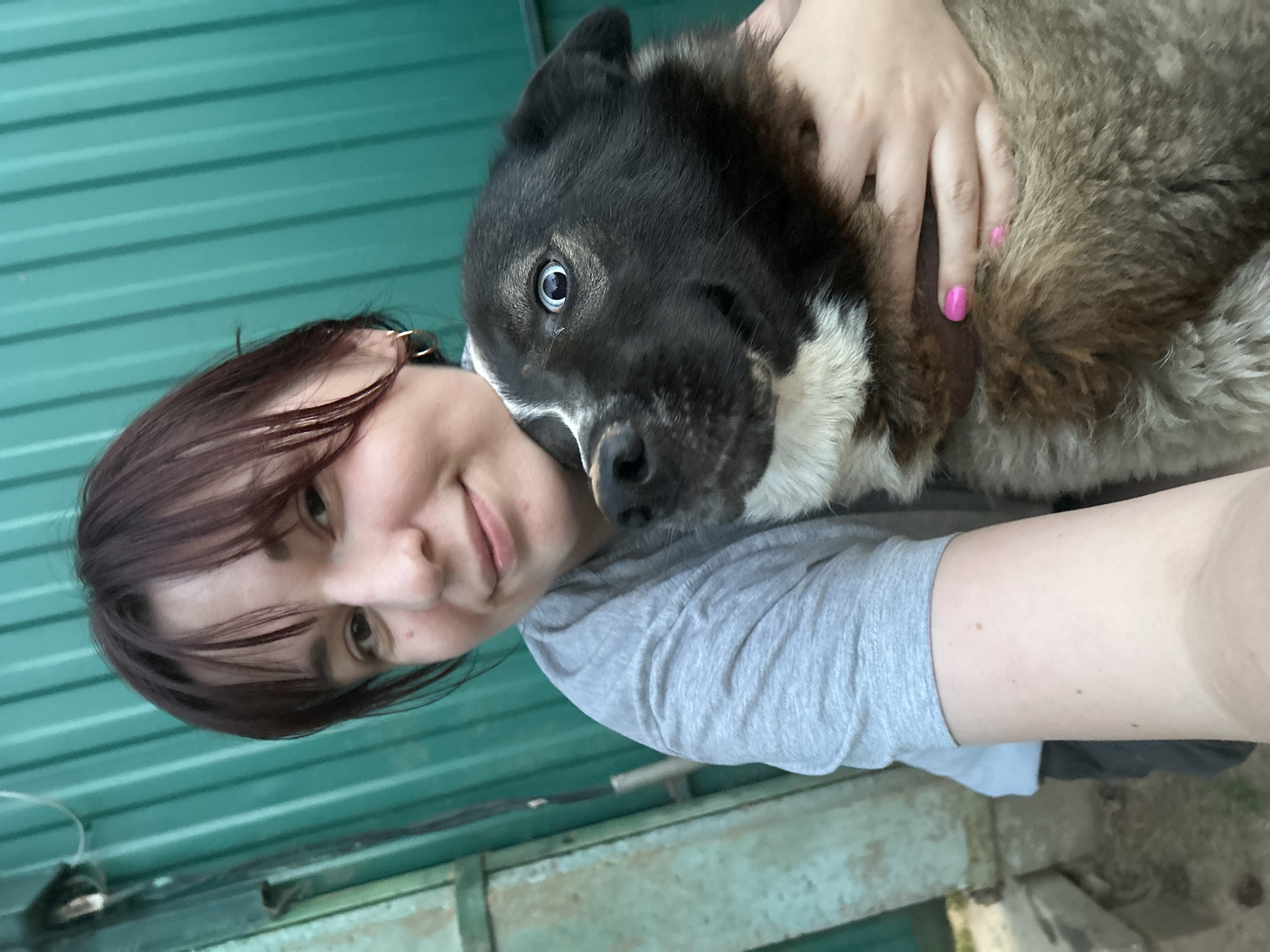 A woman with short, dark hair and bangs is taking a selfie outdoors, holding a medium-sized dog. The woman is wearing a gray t-shirt. The dog is dark-colored with white markings on its chest and face. The background consists of a green corrugated metal fence and some outdoor elements that suggest a rural or backyard setting. The image appears to have been taken in the city of Fokino, Russia, based on the provided context.