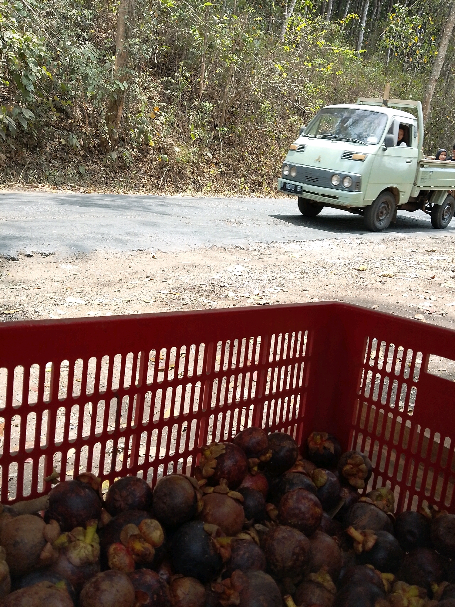 In Pagak, Indonesia, a light green Mitsubishi truck drives on a dusty road lined with trees. The truck is loaded with what appears to be fresh produce. In the foreground, a red plastic crate is filled with mangosteens. The scene suggests a rural setting where fruits are being transported.