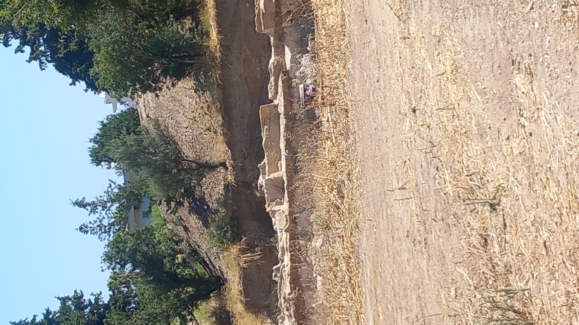 The image depicts an outdoor scene under a clear blue sky. In the foreground, a dirt path is visible, covered with dry, light-brown vegetation. Beyond the path, there is an archaeological site with stone ruins. The ruins are partially exposed, with layers of earth and stone structures. Behind the ruins, a grassy slope rises, dotted with trees and shrubs. In the background, more trees and buildings are visible on the horizon. The overall impression is of an ancient site being excavated or preserved in a natural setting.
