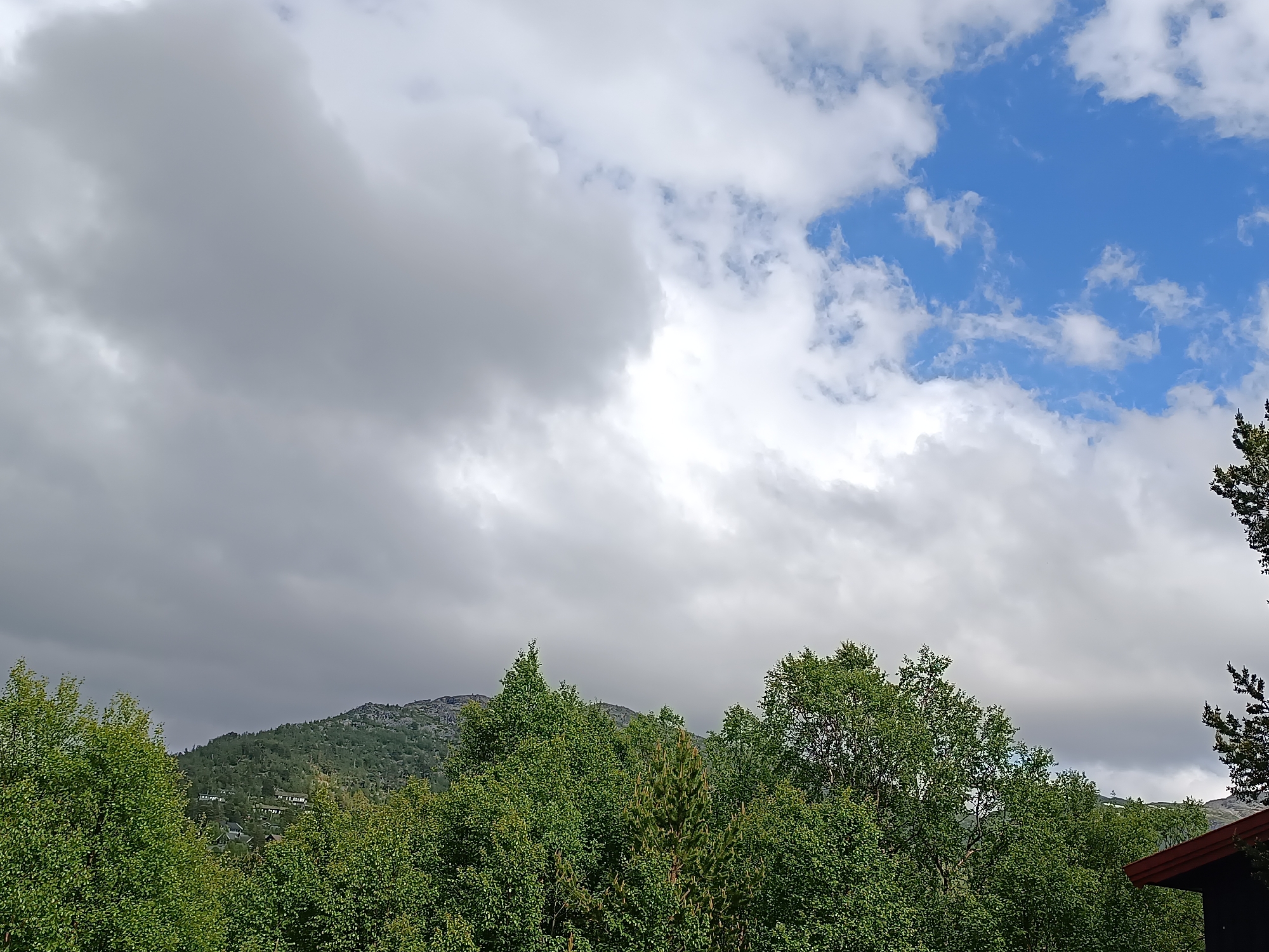 The image captures a panoramic view of a mountainous landscape with a prominent cloudy sky. In the foreground, lush green trees dominate the scene, forming a dense canopy. Behind the trees, a mountain slope is visible, covered in more greenery and interspersed with what appear to be buildings, suggesting a settlement or village nestled within the natural terrain. The sky is a dramatic mix of dark, heavy clouds on the left and brighter, partly sunny skies with blue patches on the right. The lighting suggests it could be an overcast day with breaks of sunshine. The overall impression is one of a natural, somewhat rugged environment, possibly a rural or semi-rural area. The location is identified as Hovden, Norway.
