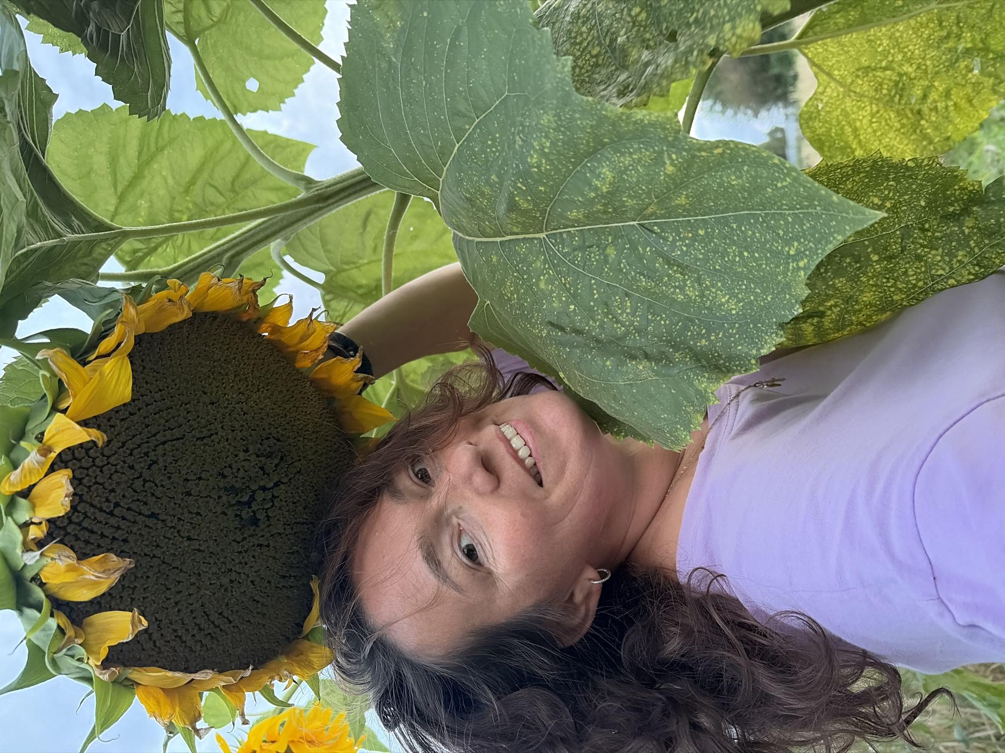 This media file features a woman lying down outdoors, among sunflowers. The image is oriented sideways, with the woman's head positioned near the bottom and her feet towards the top. She is wearing a light purple t-shirt and has long, dark, curly hair. A large sunflower head with wilted yellow petals is positioned to her left, partially obscuring her face. Behind the sunflower, large green leaves of the plant are visible, along with a glimpse of the sky. The woman is looking up and smiling, with her eyes open. She is wearing small hoop earrings.
The setting appears to be a field or garden, possibly during daytime, given the natural light. The presence of sunflowers and large green leaves suggests a summer or late summer season. The overall mood is relaxed and happy. The location context provided is Olkhovka, Russia, which may imply a rural or semi-rural environment. There is no visible text in the image.