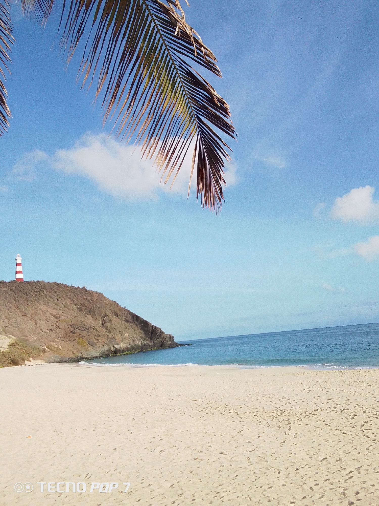 The image depicts a beach in Pedro González, Venezuela. The scene is dominated by a wide, sandy beach with gentle waves meeting the shore. A palm frond hangs from the upper left, partially obscuring the clear blue sky dotted with a few white clouds. In the background, a rocky hill rises from the beach, crowned with a lighthouse painted with red and white stripes. The water transitions from a light turquoise near the shore to a deeper blue further out. There are no people visible in the scene. The lower portion of the image contains a "Tecno POP 7" logo.