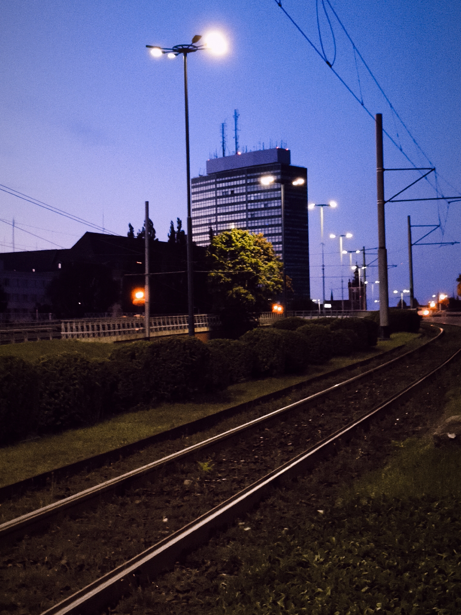 The image depicts a twilight scene in Gdańsk, Poland, focusing on a tram track winding through a landscape of low bushes and grass. In the background, a tall, modern building with a grid-like facade is illuminated, standing out against the deep blue sky. Several streetlights are visible, casting a warm glow on the scene, and overhead tram wires are a prominent feature. The tram tracks themselves are in the foreground, stretching into the distance. There are no people visible in the image. The overall atmosphere is one of an urban setting at dusk, with the tram infrastructure being a key element of the composition.