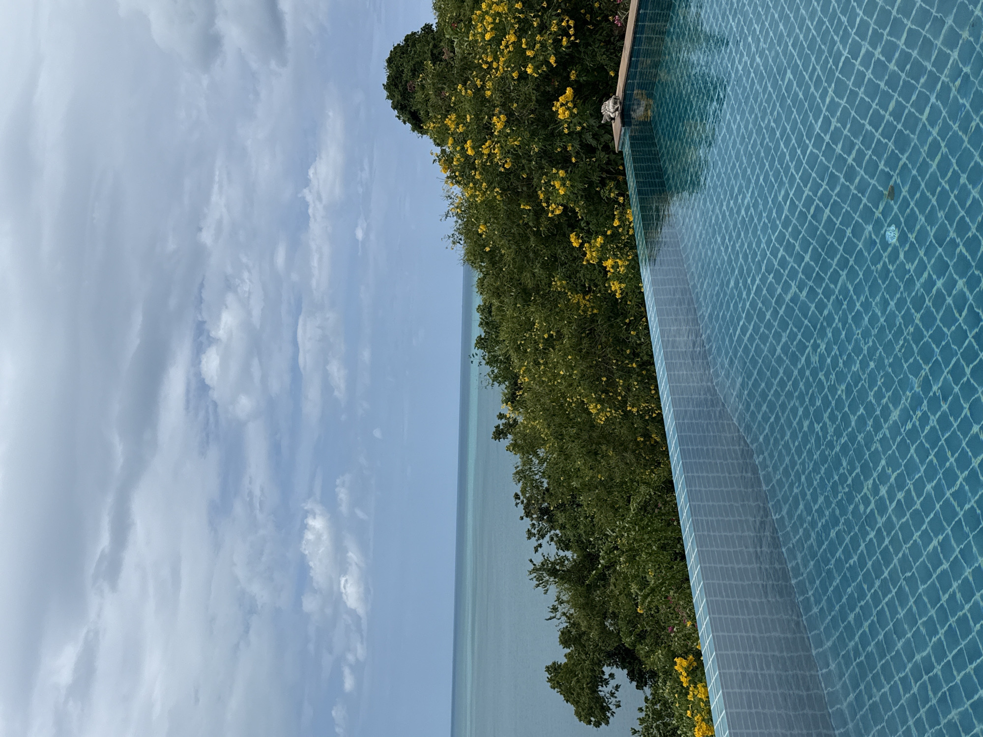 This is a photograph taken from an elevated position overlooking the ocean, with a swimming pool in the foreground. The pool has turquoise tiled walls and a tiled bottom, and the water is clear. The pool is partially filled, and the water level is just below the edge of the pool. In the background, there is a lush green hillside covered with trees and yellow flowers. The ocean is a calm blue, meeting the horizon under a cloudy sky. The scene appears to be a resort or private residence in Ko Samui District, Thailand, offering a serene and tropical ambiance. There are no people or animals visible in the image.