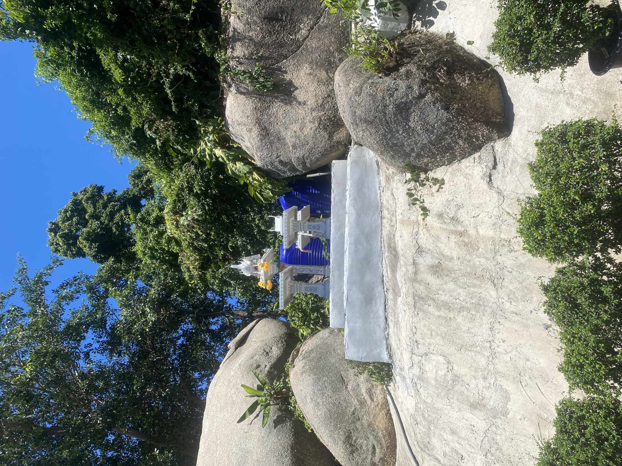 The image depicts a shrine nestled among large boulders and lush green foliage under a clear blue sky. The shrine is white with intricate decorative details, and it is adorned with yellow flowers and a small white statue. A large, bright blue cylindrical object is placed behind the shrine. Steps made of concrete lead up to the shrine, which is situated on a rocky, uneven terrain. Several large boulders, some with sparse vegetation growing on them, surround the shrine. The environment suggests a natural outdoor setting, possibly a hillside or a coastal area, given the presence of large rocks and dense vegetation. The scene appears to be in Baan Lamai, Thailand, a location known for its natural beauty and spiritual sites. There are no people visible in the image. The overall impression is one of a serene and spiritual outdoor sanctuary.