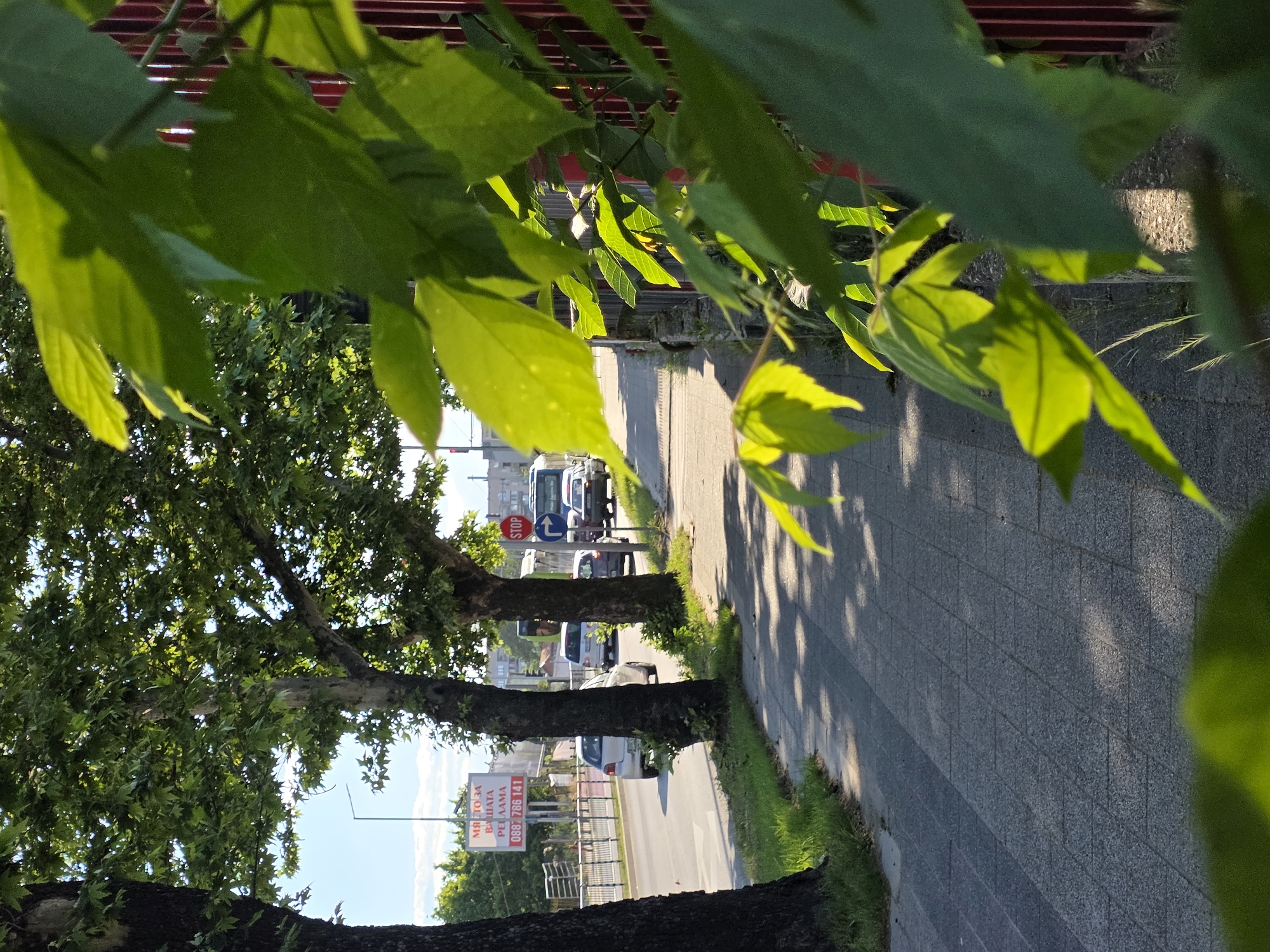 The image shows an outdoor scene of a street with vehicles and pedestrians in Plovdiv, Bulgaria. The perspective is partially obstructed by tree branches and leaves in the foreground.
On the left side of the frame are trees lining the street, with a large advertisement sign in the background. Several cars and a truck are visible on the road between the trees. A stop sign is posted near the intersection, directing traffic.
On the right side is a paved sidewalk. Sunlight filters through the leaves above, casting shadows on the ground. The overall scene appears to be a typical street view in a residential or commercial area of Plovdiv.
