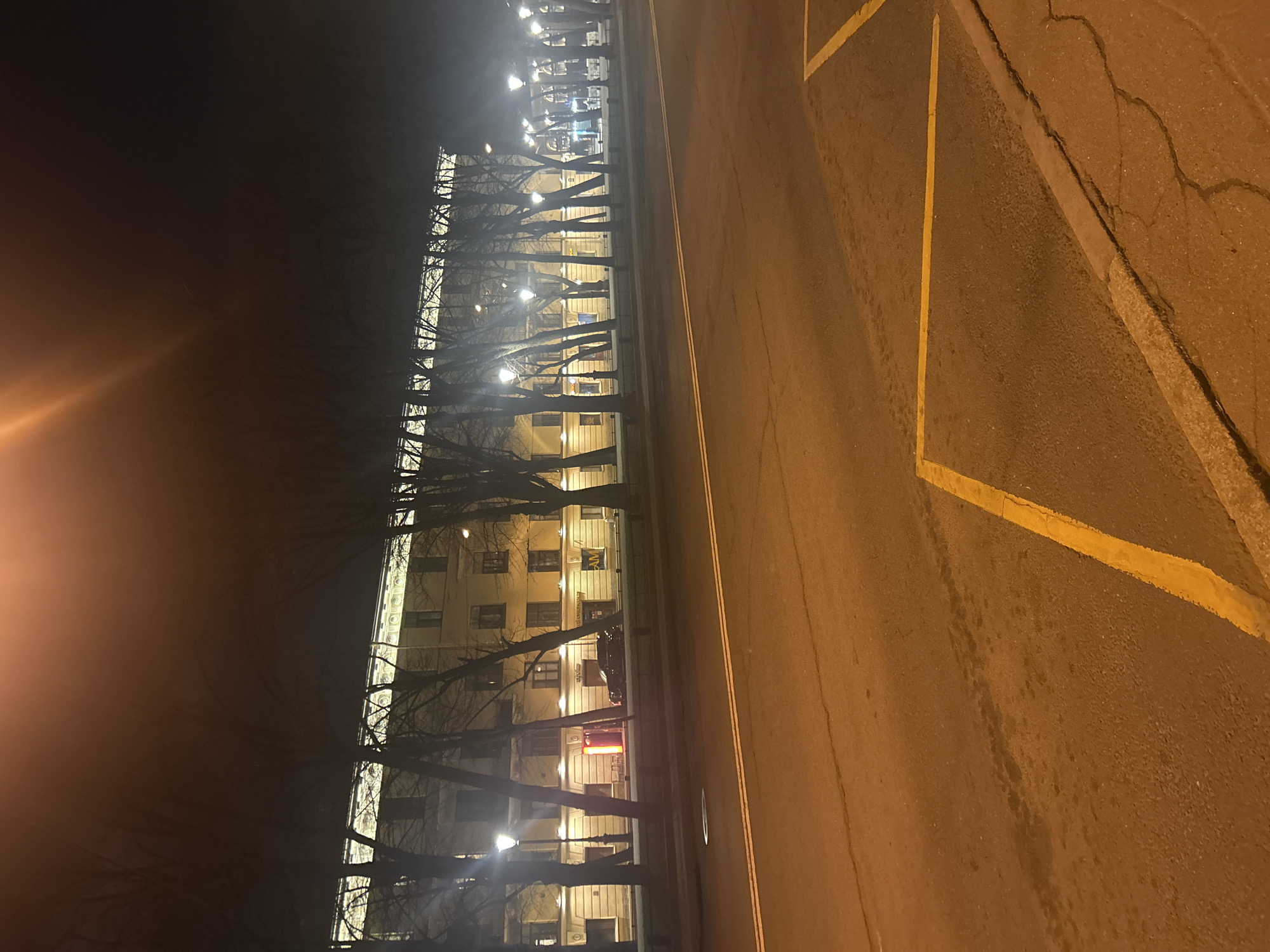 The image displays a nocturnal urban street scene, likely in Saint Petersburg, Russia. On the left side, a row of multi-story buildings with traditional architecture stands illuminated. Many windows glow with a warm light, and light fixtures are visible on the building facades. In front of these structures, a line of bare deciduous trees, stripped of their leaves, forms dark, intricate silhouettes against the illuminated background and streetlights.
To the right, an asphalt road extends into the distance, brightly lit by the ambient artificial glow, predominantly orange-hued. Double white lines mark what appears to be the center of the road, while a prominent yellow line runs along the right edge, likely indicating a parking area or curb restriction. The asphalt shows signs of wear, including cracks. A concrete curb separates the road from the sidewalk or tree line.
No people are visible, and the scene appears quiet and static. A dark-colored car is partially visible parked near the curb, and a red traffic light on a pole casts a distinct red glow. Strong light flares are present in the top-left area of the image, emanating from bright light sources. Faint, mostly illegible text, including "20М" and fragments that resemble "СТОМАТОЛОГИЧЕСКАЯ" (dental), can be seen on a building sign, suggesting a dental clinic or similar business. The time of day is clearly night, with artificial lighting dominating the visual environment.