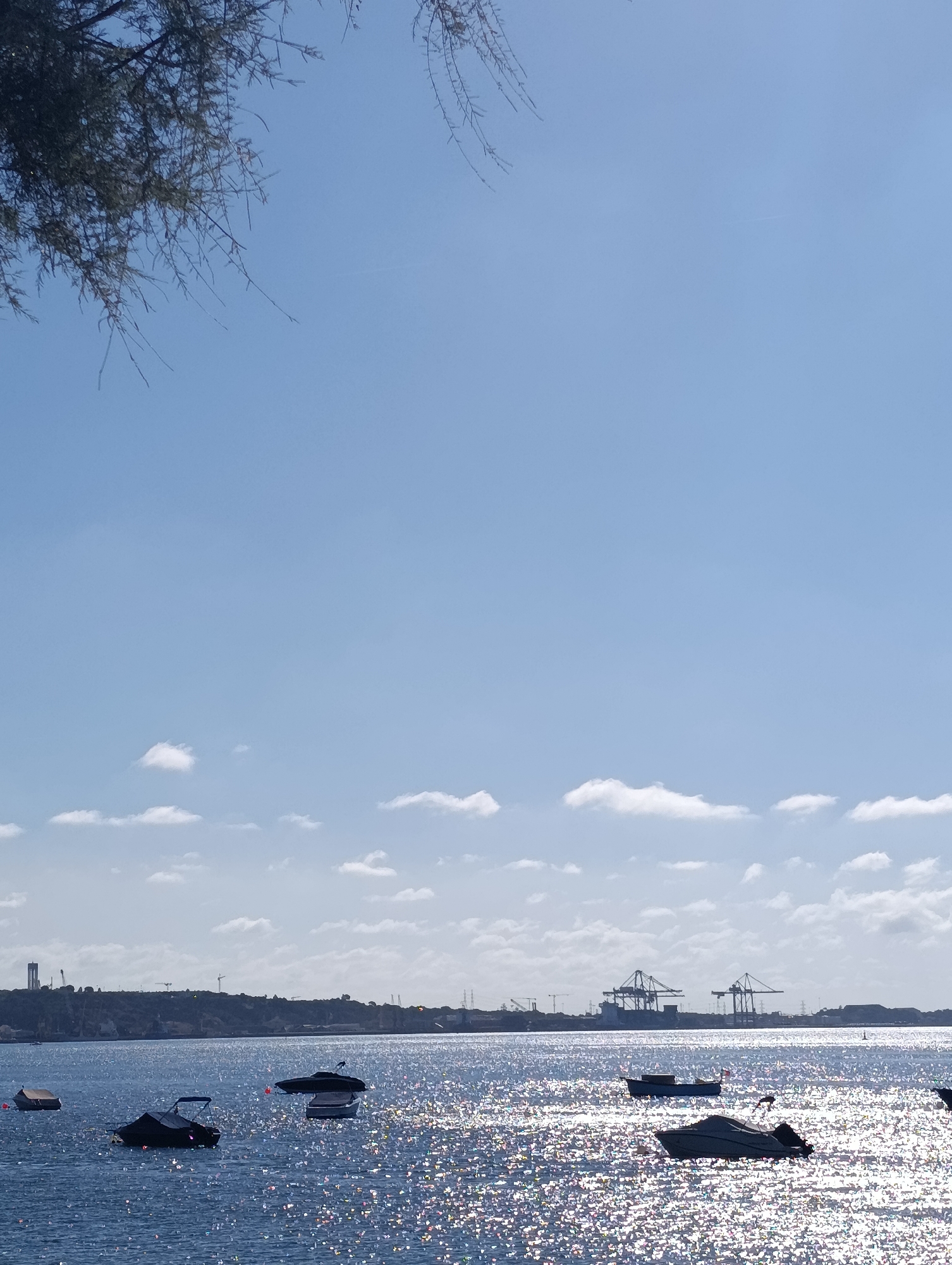 This image depicts a daytime scene of a body of water, likely the Sado River estuary near Setúbal, Portugal, with several boats moored. The sky is predominantly clear blue with scattered white clouds. The water is slightly choppy and reflects the sunlight, creating a shimmering effect.
In the foreground, several small boats are visible, some covered with tarps. One boat to the left is partially obscured by a tree branch. In the mid-ground, more boats are scattered across the water, with some buoys also visible.
The background reveals a distant shoreline with a line of trees and hills. Industrial structures, including cranes, are prominent on the horizon, suggesting a port area. A tall, tower-like structure is also visible on the left side of the background. The overall impression is a sunny day in a coastal or estuarine environment.