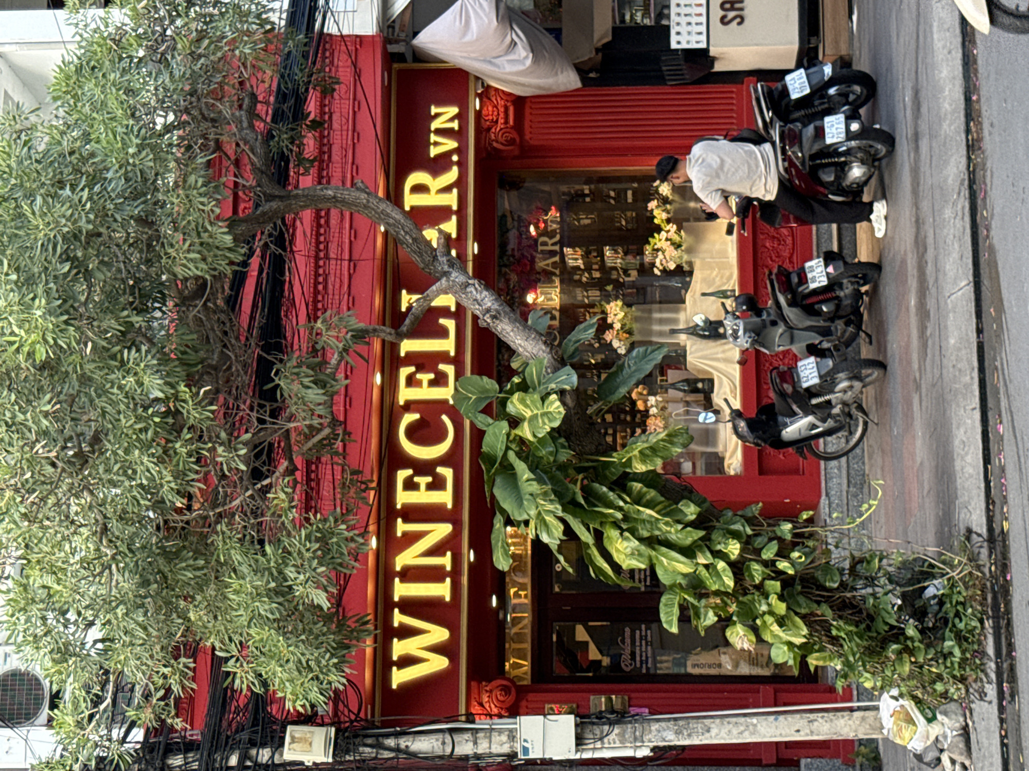The image depicts the exterior of a wine shop named "WINECELLAR.VN" in Nha Trang, Vietnam. The shop has a vibrant red facade with prominent yellow signage for "WINECELLAR.VN" above the entrance. A large tree with lush green foliage extends across the front of the building, with its branches partially obscuring the signage and the shop's interior. The shop's display window showcases bottles of wine and floral arrangements. In front of the shop, parked on the sidewalk, are three scooters. A person, wearing a light-colored t-shirt, dark pants, and a baseball cap, is seated on one of the scooters, appearing to be adjusting something in their hands or on the scooter. The sidewalk area in front of the shop is paved, and some fallen leaves are visible. Electrical wires and conduits are present on the side of the building, a common sight in Vietnamese urban environments. To the right of the shop, a white sign with the letters "SA" is partially visible.