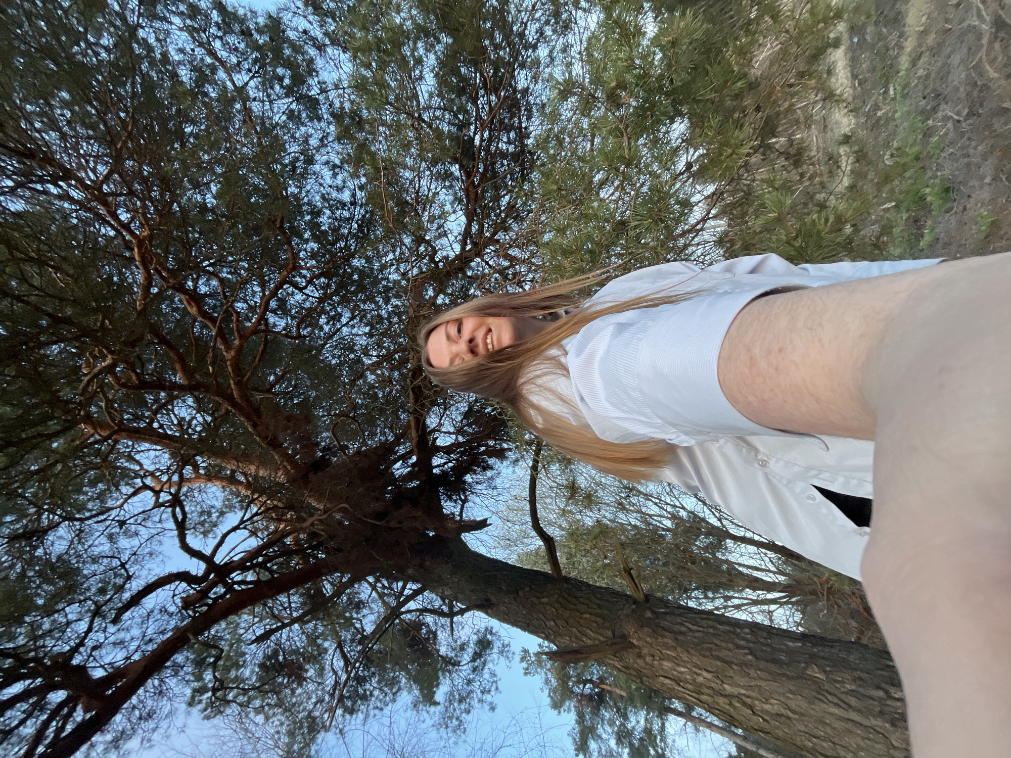 A young woman with long blonde hair and wearing a white button-down shirt is taking a selfie. The photo is taken from a low angle, looking up at the woman and the trees behind her. The trees are tall with a dense canopy of green needles, suggesting a pine forest. The sky is visible through the branches, appearing light blue. The woman is smiling slightly. The photo appears to be taken in a natural outdoor setting. The information provided does not make it possible to find the location in the city of Раздолье, Russia.