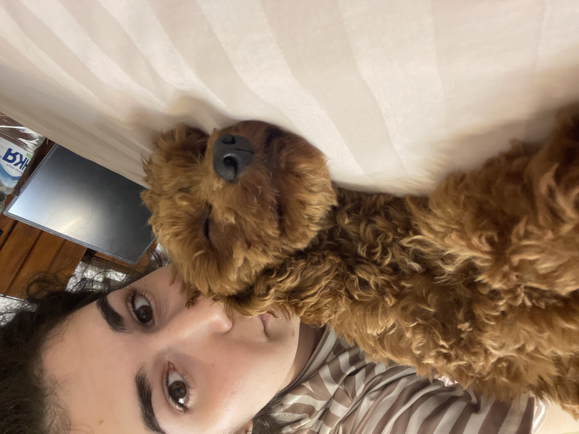 The image depicts a young woman and a small, reddish-brown, curly-haired dog lying together on a striped, light-colored surface, likely a bed, in Sofia, Bulgaria. The woman, with dark, curly hair and brown eyes, is positioned on her side, looking directly at the camera. She wears a striped top with alternating light brown and off-white stripes. Her skin shows minor textural details. The dog, a poodle-type breed, lies on its stomach with its head resting on the surface, eyes closed. Its nose is black. In the background, to the right, a dark electronic screen (possibly a monitor or laptop) is visible, along with a wooden surface and a plastic water bottle with a blue cap. The bottle's label features Cyrillic text, including "БИЛКА ВОДА" (Bilka Voda), a brand consistent with products found in Bulgaria. The scene conveys a moment of calm and closeness between the woman and the sleeping dog.
