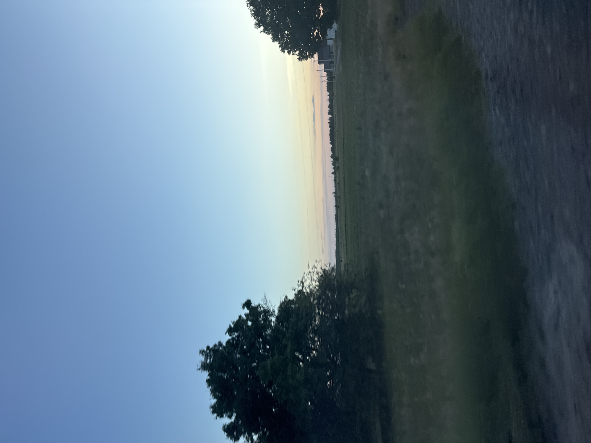 The image depicts an outdoor scene, likely a rural landscape, with a clear sky transitioning into pastel hues near the horizon, suggesting it is either sunrise or sunset. The sky takes up a significant portion of the frame, colored in shades of blue and fading to lighter tones.
In the foreground and middle ground, there are elements of vegetation, including trees with dense foliage. One tree is prominently featured on the left side of the image, its dark leaves contrasting with the bright sky. Another tree is visible in the upper right quadrant.
Beyond the trees, a field or open area stretches out, appearing somewhat uncultivated or covered in dry grass. In the distance, there are hints of structures, possibly buildings or power lines, lined up along the horizon. The overall impression is one of quiet and natural beauty, with a sense of space and openness. The lighting suggests a calm atmosphere, typical of the transitional periods of the day. No people, objects, or text are clearly discernible in the image.