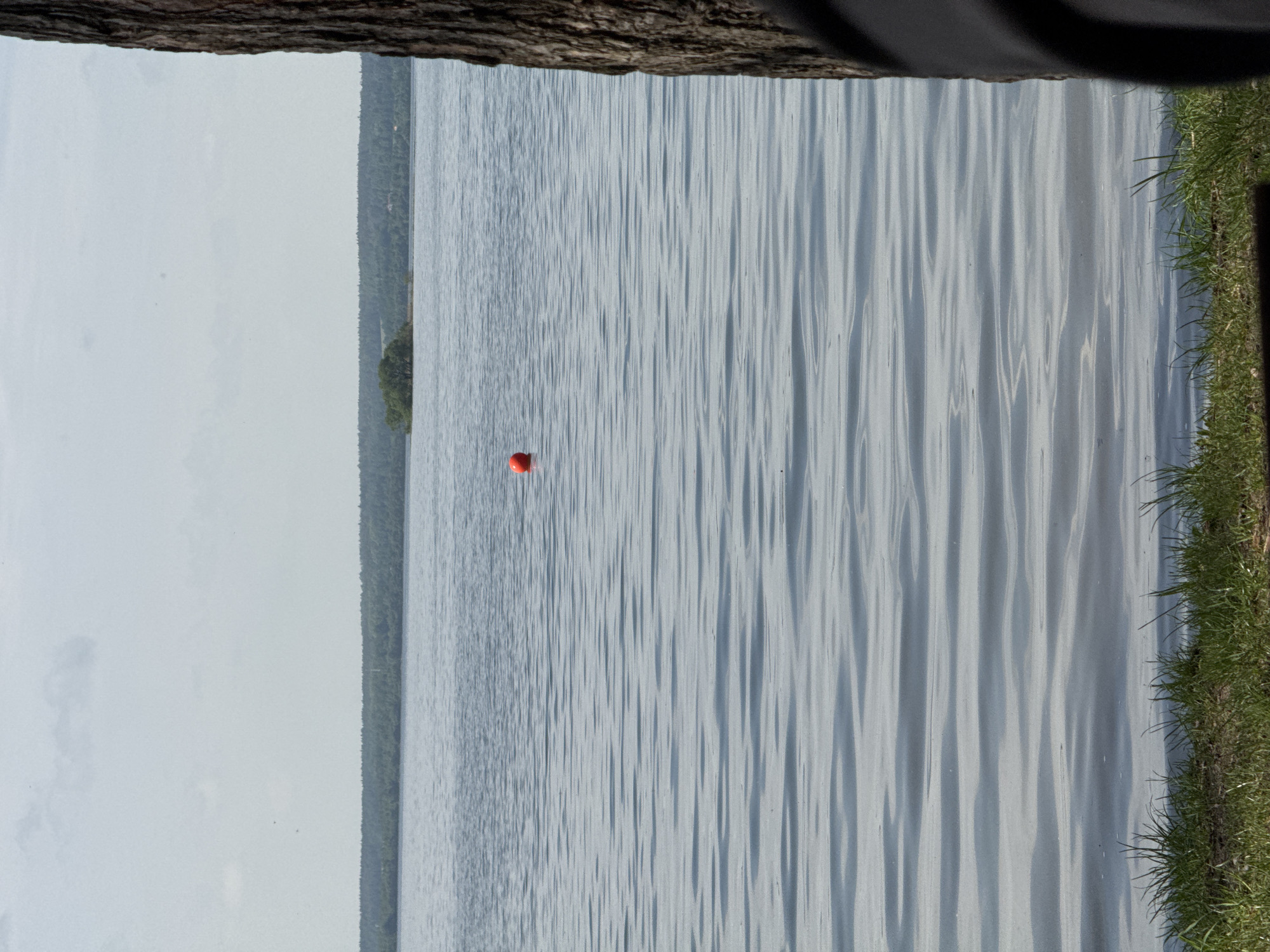 The image shows a body of water, likely a lake, with a thin orange buoy floating in the center. A dense forest line runs along the left edge of the water. The sky is overcast. A tree trunk is visible at the top of the frame, and grass grows on the right edge, suggesting a shoreline. The location is in the rural community of Ждановіцкі сельскі Савет, Belarus.