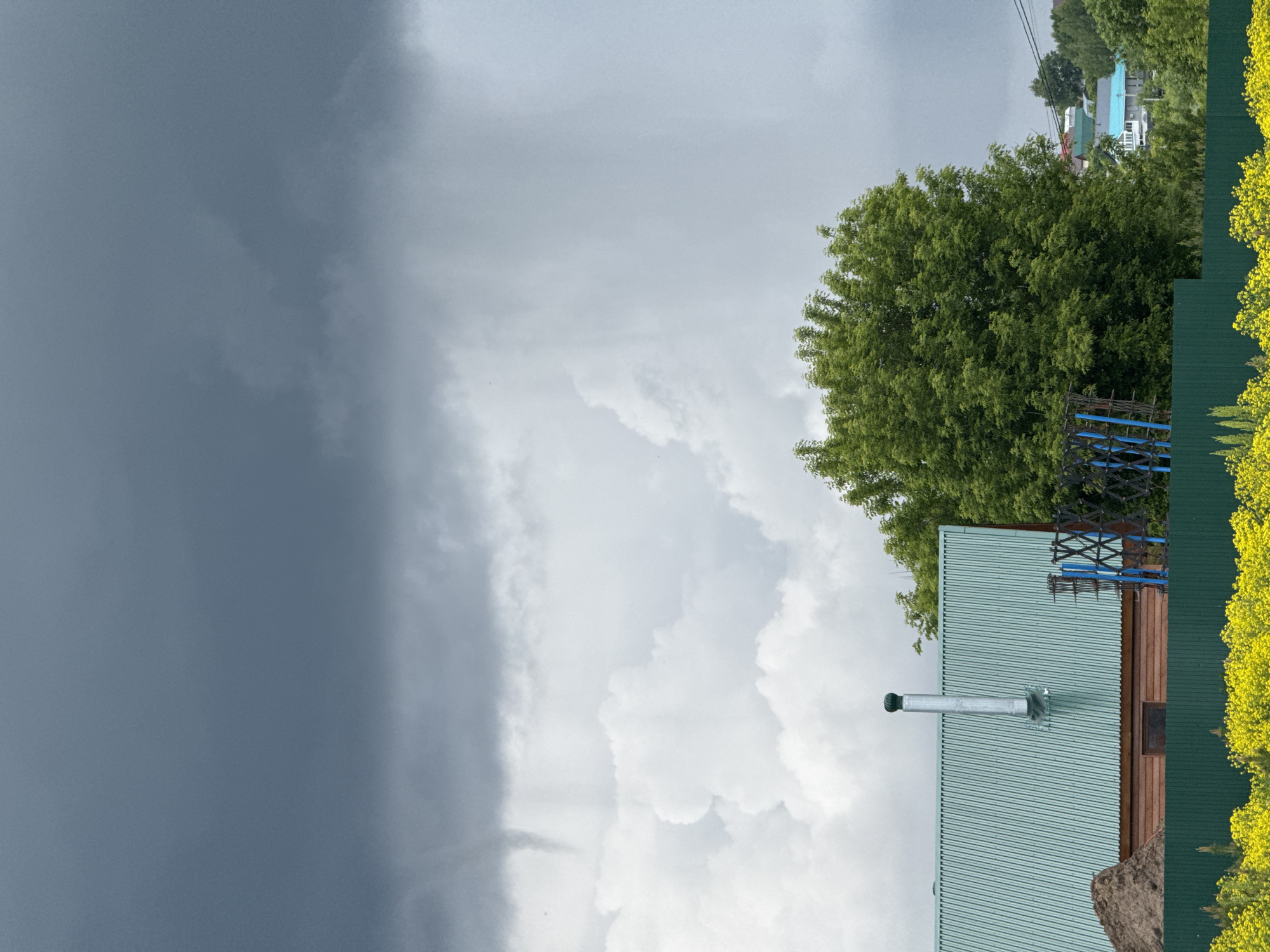 The image, originally oriented vertically, depicts a dramatic outdoor scene in Старое Шигалеево, Russia, focusing on a dynamic sky and residential elements. The upper portion of the frame is dominated by contrasting clouds: very dark, heavy storm clouds occupy the left, suggesting an approaching downpour or ongoing stormy weather, while brighter, white cumulus clouds fill the center and right, indicating a break in the weather or the edge of a storm system.
In the foreground and mid-ground, a house with a light teal corrugated metal roof is visible, featuring a tall, silver chimney pipe extending upwards. A section of its brown wooden wall is seen beneath the roof. To the right, a vibrant dark green corrugated fence, topped with bright yellow flowering plants or dense foliage, runs along the edge of the frame. A large, lush green deciduous tree stands prominently in the mid-ground, its dense foliage creating a natural boundary. Partially visible behind the house and under the tree is a blue metal structure. In the background, amidst more trees, other houses with roofs of blue and green hues can be faintly discerned, suggesting a residential area. Faint utility lines are also visible in the upper right.
The scene captures daytime, marked by significant weather changes. There are no people visible, nor any discernible text. The image primarily conveys the dramatic shift in atmospheric conditions over a rural or semi-rural landscape.