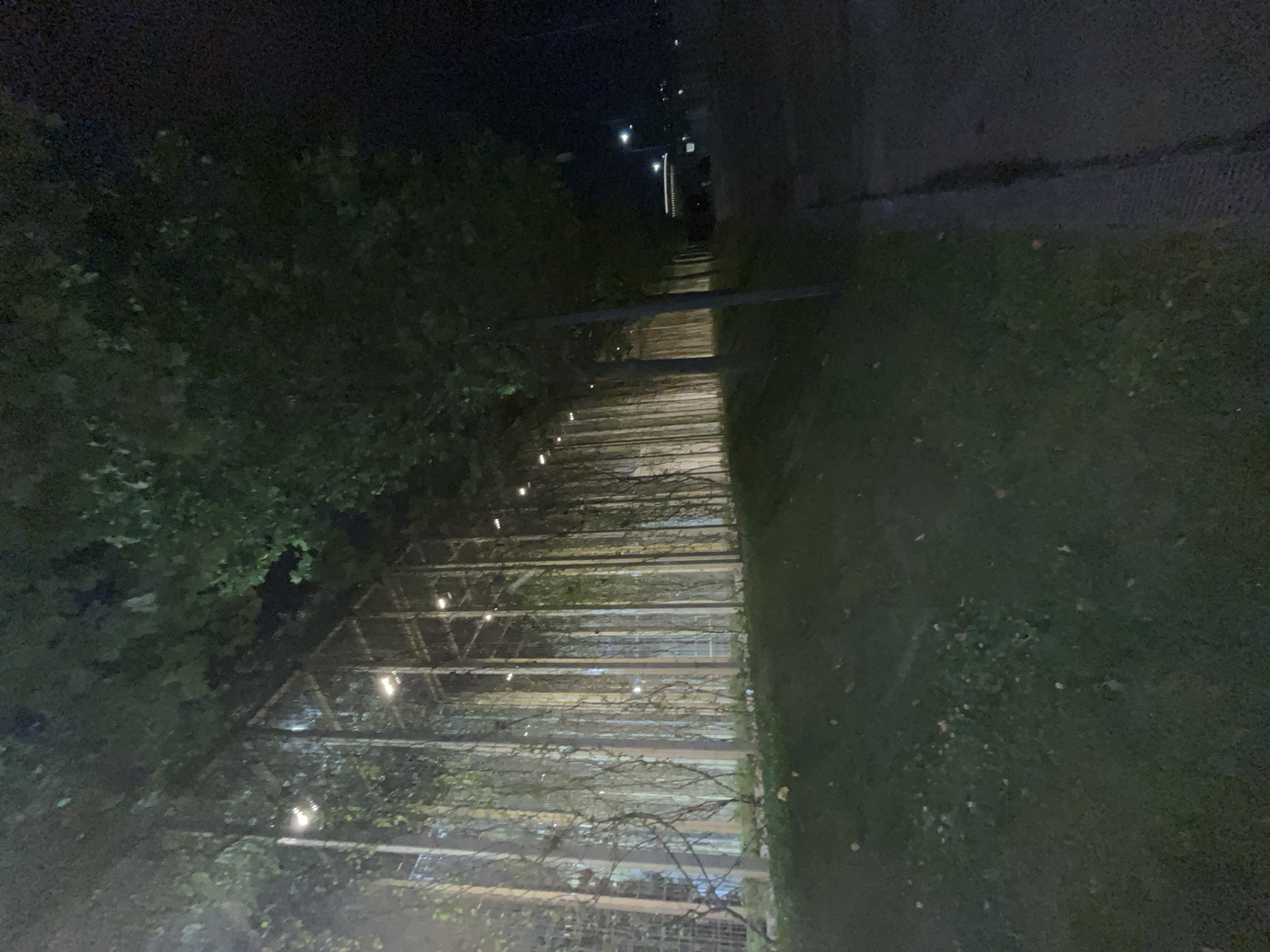The image depicts an outdoor scene at night, likely in an urban environment. A long, illuminated structure, possibly a greenhouse or a covered walkway with a wire mesh or fence-like facade, extends horizontally across the frame. Vertical supports and overhead lighting are visible within this structure, with lush green vegetation, possibly vines or hanging plants, cascading down. Adjacent to this structure is a row of trees, their foliage dense and casting shadows. A paved walkway or road runs alongside the trees, receding into the darkness. The foreground consists of a grassy slope. The overall impression is one of an art installation, park feature, or botanical enclosure illuminated at night, situated in a location that appears to be somewhat secluded from intense urban activity. The specific location in Krasnodar, Russia, is not discernible from the visual information provided in the image.