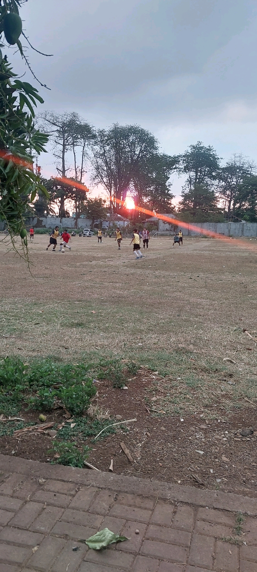 A group of men are playing soccer on a dirt field. The sun is setting, casting a warm glow over the scene. The field is surrounded by trees and a fence. In the foreground, there is a brick pathway and some greenery. A young mango tree with green fruit is visible on the left side of the frame. The image appears to have been taken in Keling, Indonesia.