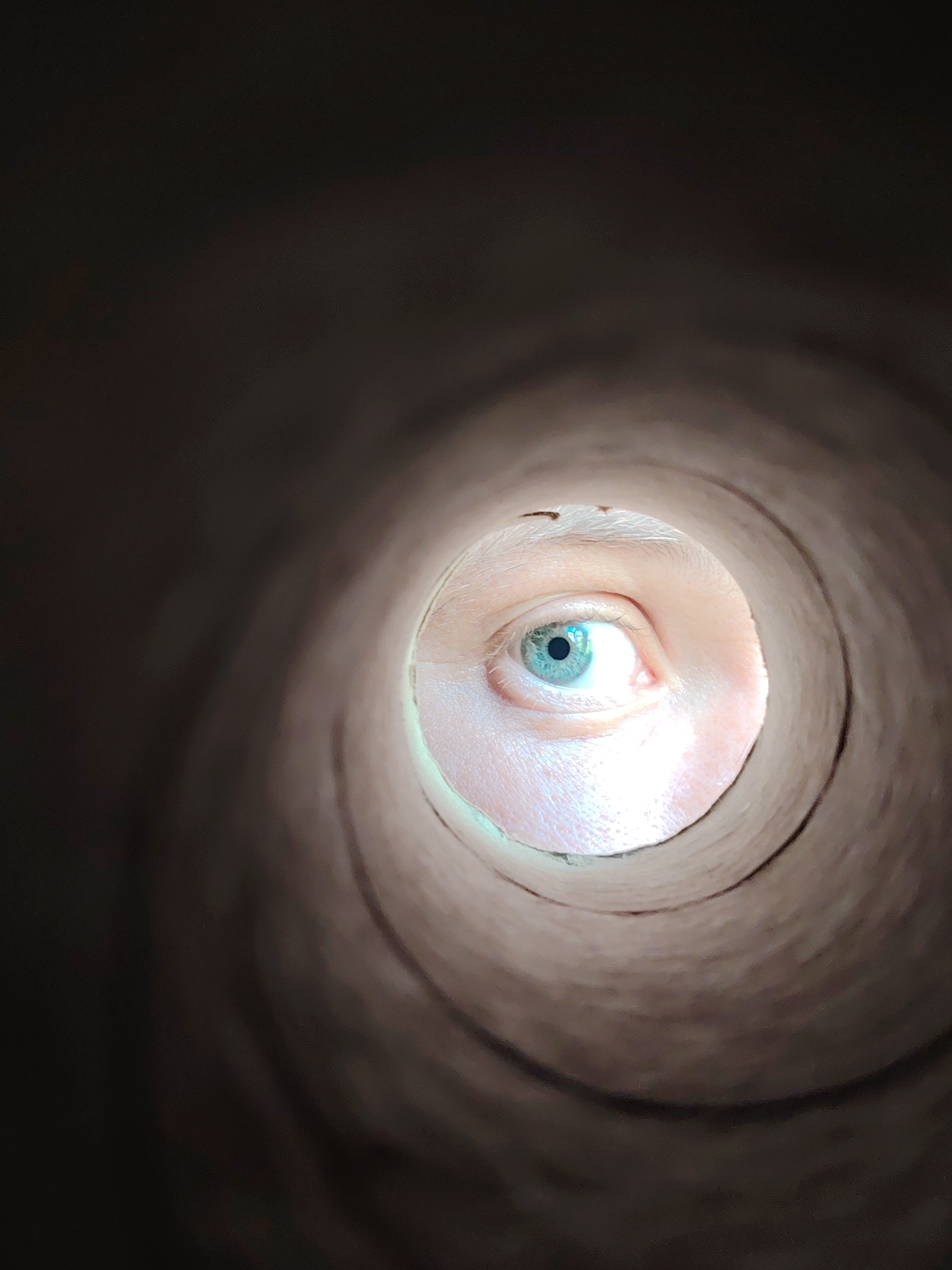 A close-up, low-angle shot looks through a dark, cylindrical tunnel. In the center of the frame, a human eye peers out from the opening. The iris is a light blue-green, and the pupil is dilated. The skin around the eye is fair and appears slightly flushed. The tunnel walls are a textured brown, with softer lighting towards the opening and darker shadows further in. The overall impression is one of a person looking out from a confined space. This image was taken in Chaikovsky, Russia.