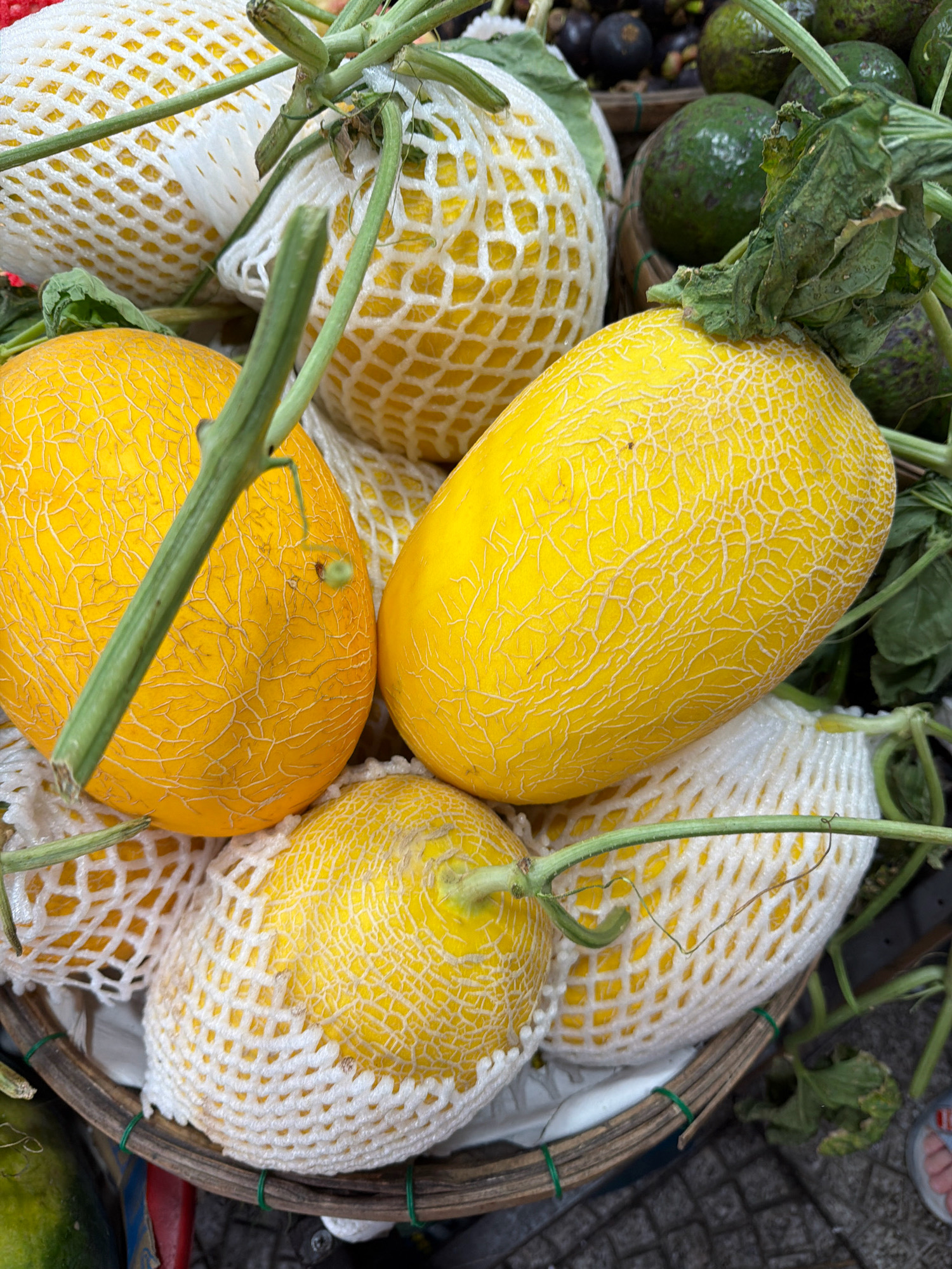 The image displays a close-up view of a basket filled with several yellow melons, some of which are wrapped in white netting. Green vines and leaves are interspersed among the fruit. In the background, other produce, including avocados and dark, round fruits, are visible, suggesting a market setting. The ground beneath the basket appears to be paved. A person's foot, wearing a sandal, is partially visible in the lower right corner, indicating the presence of a shopper. The overall impression is a vibrant fruit stand, likely located in a bustling market in Da Nang, Vietnam.
