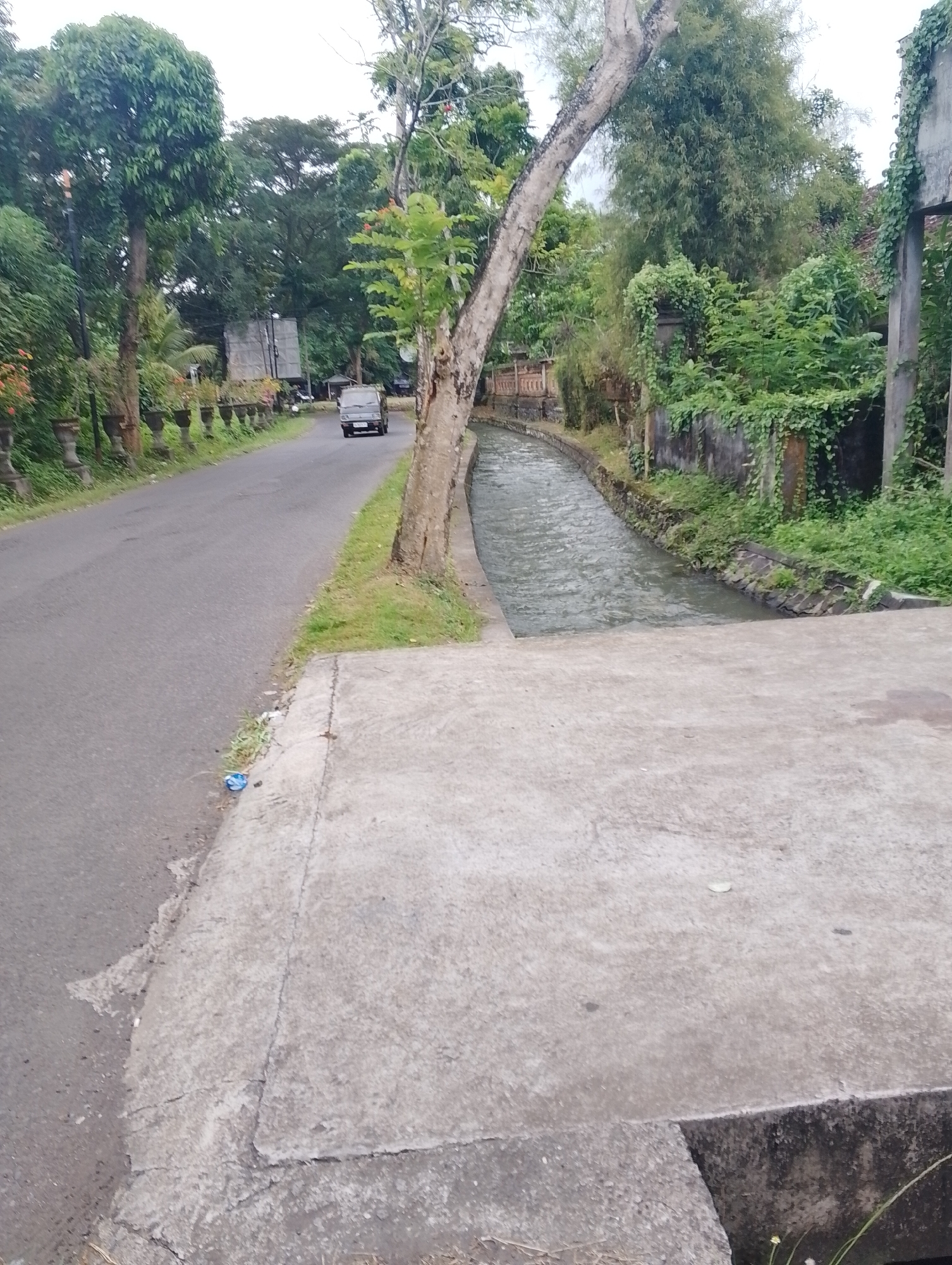 An eye-level, full outdoor shot shows a paved road to the left, a drainage ditch filled with rippling water in the center, and a concrete sidewalk in the foreground. The road is lined with potted plants and a line of trees, and a light-colored utility vehicle is driving away from the camera on the road. The drainage ditch is bordered by a stone wall covered in green vines on the right and vegetation on the left. The sky is overcast.