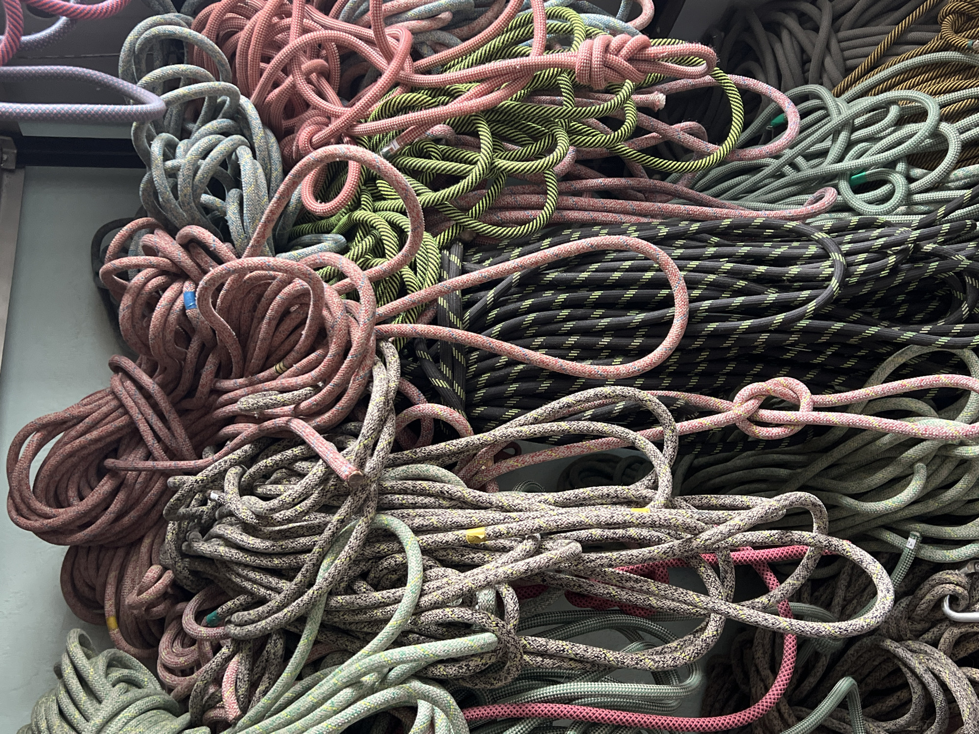 A densely packed collection of tangled climbing ropes fills the frame, showcasing a variety of colors and patterns. The ropes are coiled, looped, and interwoven, suggesting they are either stored in bulk or have been recently used and piled together.
Predominant rope colors include various shades of pink, dusty rose, light green, olive green, gray, black, and maroon. Many ropes feature multi-colored flecks or distinct patterns, such as dark gray with vibrant green or yellow chevron stripes, and lighter gray-green ropes with yellow and dark specks. Some ropes appear solid in color, while others are a blend of interwoven hues. Small, colored tape markers, such as blue and yellow, are visible on some rope sections, likely indicating length or specific use. One crop reveals a simple overhand knot tied in a pink rope, and another shows a small piece of metal hardware, possibly a carabiner or belay device, partially obscured by other ropes.
The lighting suggests an indoor setting, likely a storage area, gym, or equipment room in Chaikovsky, Russia. There is no visible activity, and the ropes appear static, awaiting their next use. No people or visible text are present in the image.
