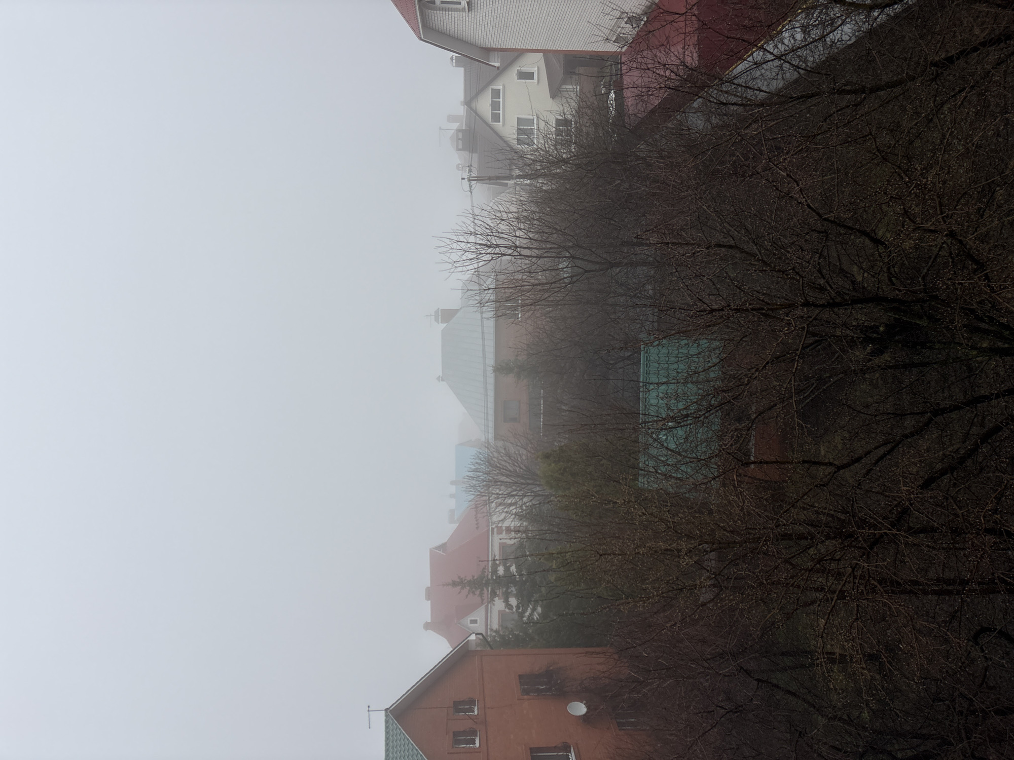This image captures a residential area in Ulyanovsk, Russia, on a heavily foggy or misty day, viewed from an elevated perspective. The scene is dominated by a thick, pervasive fog that obscures the background and lends a muted, almost monochromatic quality to the entire photograph.
In the foreground and extending into the midground on the right side, a dense network of bare tree branches, likely indicative of winter or early spring, fills the frame. These branches are dark and intricate, with visible buds, suggesting new growth or the remnants of previous seasons.
Through and beyond these branches, a collection of houses and buildings can be seen. Their architectural styles vary, featuring different roof colors such as red, white, and a greenish-blue, and facades in brick-red and lighter tones. Some windows are visible, and elements like satellite dishes and antennas can be discerned on the roofs and walls of the closer structures. The buildings gradually recede into the heavy fog, becoming increasingly indistinct with distance, until they are almost entirely swallowed by the haze in the far background.
The weather is clearly foggy, reducing visibility significantly and creating a soft, diffused light, suggesting an overcast day rather than direct sunlight. The time of day appears to be daytime, although the dense fog makes it difficult to ascertain precisely. No people or specific activities are visible in the tranquil, still scene. There is no visible text within the image. The overall atmosphere is quiet and somewhat melancholic due to the obscured visibility and muted colors.