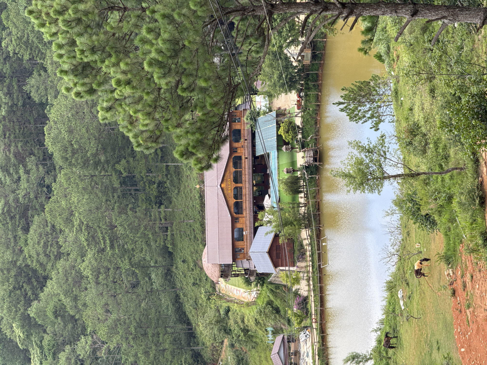 The image depicts a landscape in Lạc Dương, Vietnam, featuring a lake surrounded by dense pine forests and lush vegetation. On the left side of the lake stands a multi-story wooden building with a brown tiled roof, appearing to be a lodge or restaurant. A wooden boardwalk runs along the lake's edge, connecting various structures. On the opposite side of the lake, a grassy bank slopes upward, dotted with trees and bushes. Two horses graze peacefully on the grass near the water. Power lines stretch across the scene.