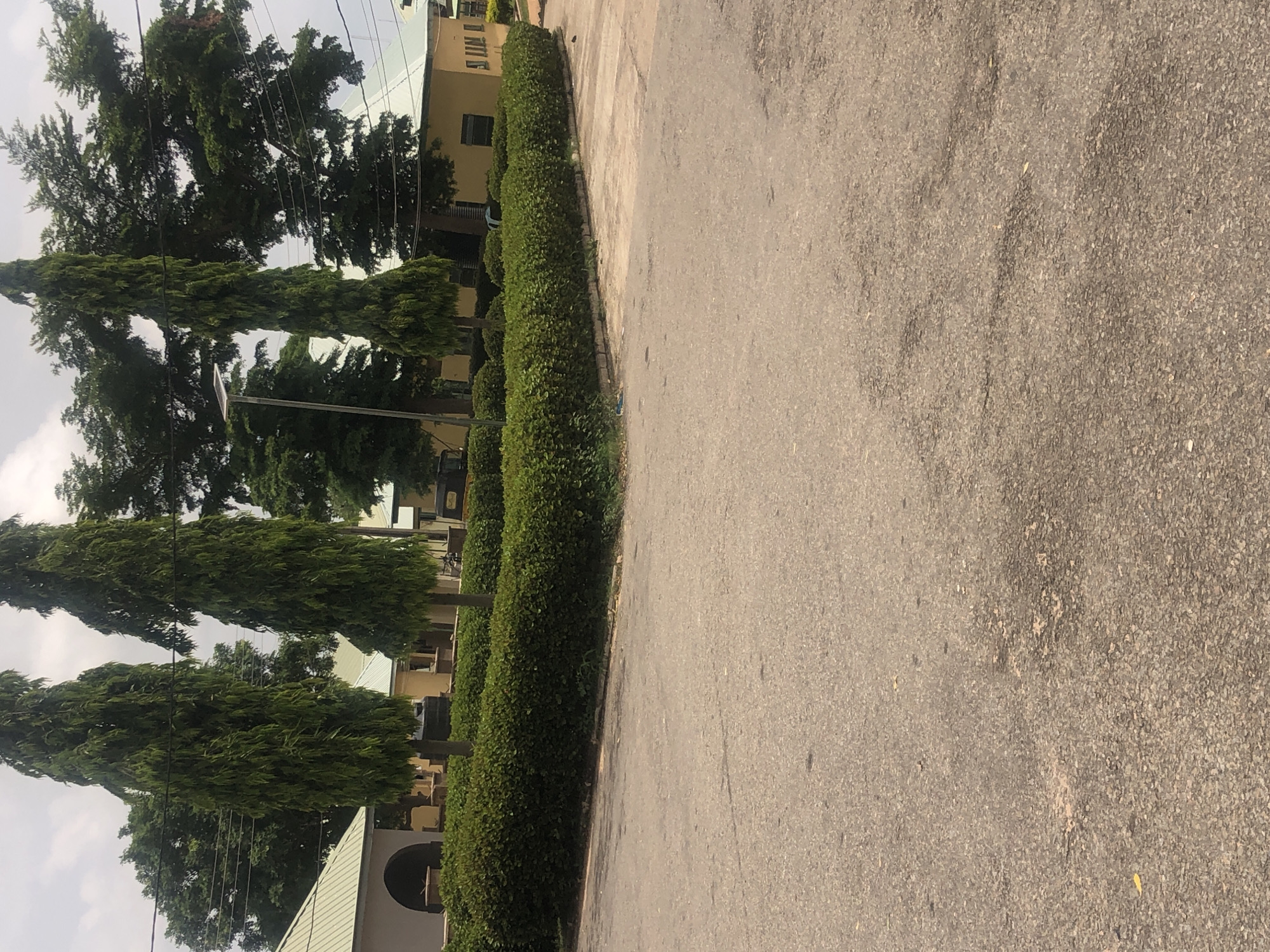 The image shows a paved road in front of a low-rise building complex with manicured hedges and tall cypress trees. The buildings are painted a light yellow with green roofs. In the background, there are more trees and power lines. A solar-powered street light is visible on the left side of the image. The scene appears to be a well-maintained institutional or residential area. The time of day appears to be daytime, with overcast skies contributing to the diffused lighting. The location is identified as the Taraba State University campus in Jalingo, Nigeria.