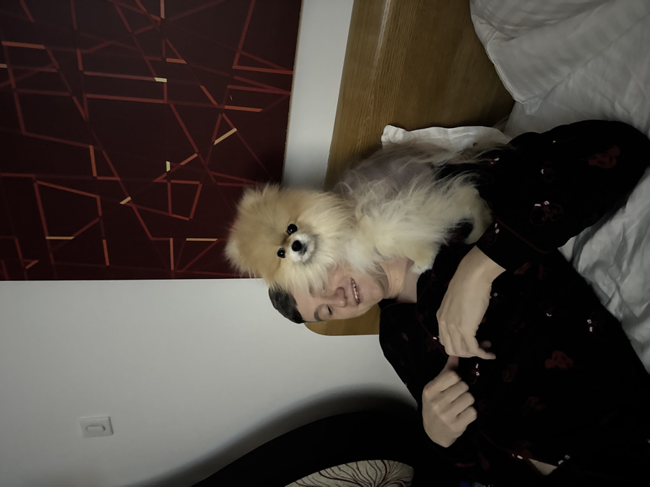 A fluffy Pomeranian dog rests on a person lying in bed. The person, dressed in a dark, patterned shirt, is smiling. A wooden headboard is behind them, and the bed is covered in white sheets. A modern art piece featuring intersecting lines in shades of red and brown hangs on the wall beside the bed. A light fixture is visible on the adjacent wall.