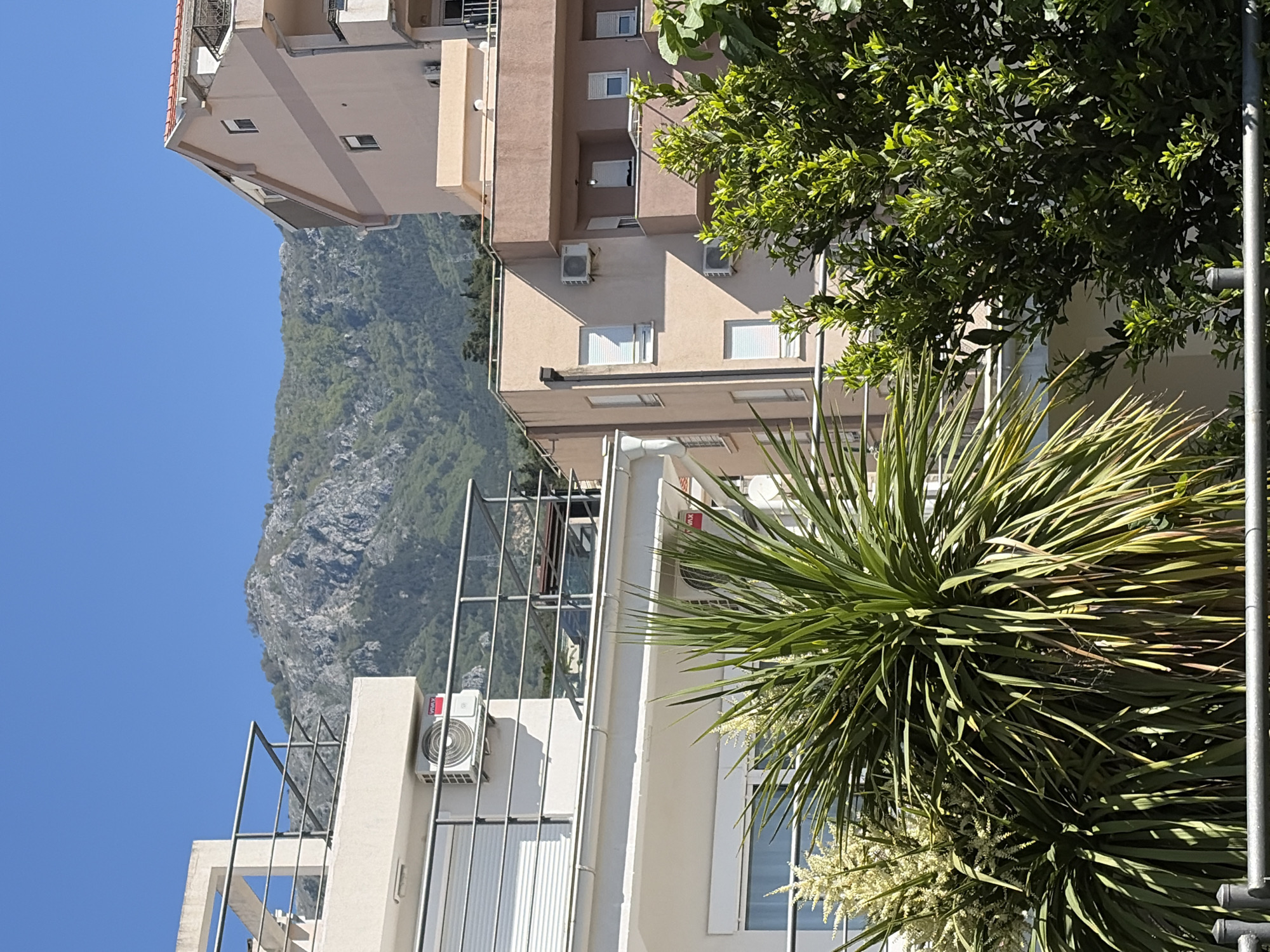 The image captures a vibrant, sunlit cityscape in Budva, Montenegro, featuring buildings, lush vegetation, and a prominent mountain under a clear blue sky.
In the foreground, dense green foliage dominates the lower and right portions of the frame. This includes a large, spiky plant, possibly a type of Dracaena or Cordyline, adorned with small white or cream-colored flowers. Another tree with smaller, dark green leaves is also visible. Metal railings, possibly part of balconies or rooftop structures, crisscross in the lower and left areas.
The midground is occupied by several multi-story buildings, predominantly light-colored in shades of beige and cream. These buildings feature numerous windows, some of which have white shutters. Balconies with railings are visible on some floors. Multiple outdoor air conditioning units are mounted on the facades and balconies; on one unit, the brand name "VIVAX" is clearly visible in red text. A section of a building with a red-tiled roof can be seen towards the upper part of the image, suggesting an older architectural style or a distinct building.
Dominating the background is a large, rugged mountain with rocky outcrops and patches of green vegetation. It rises steeply against a vast, clear blue sky, indicating a bright and sunny day. The sunlight casts shadows on the buildings, highlighting their architectural details and the textures of the foliage. No people or specific activities are depicted, presenting a static yet vivid urban landscape nestled against a natural backdrop.