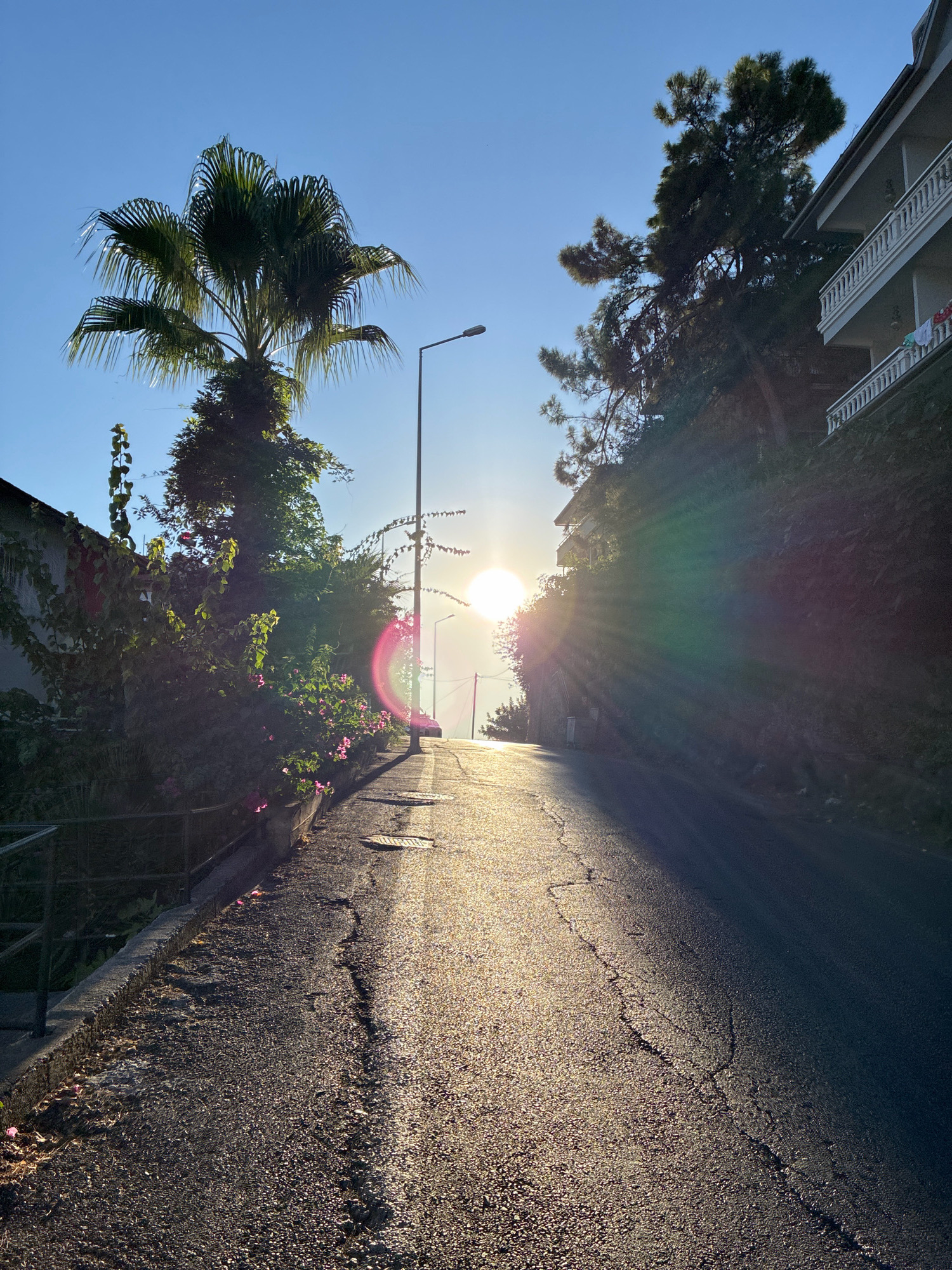 An asphalt road slopes upwards towards a bright sun, which is low in the sky and casting long rays of light. The road is cracked and appears well-worn. To the left of the road, a palm tree stands tall, its fronds reaching towards the sky. Lush green foliage and flowering bushes with pink blossoms are visible near the base of the palm tree. A low metal fence runs along the edge of the sidewalk on the left. On the right side of the road, a steep, tree-covered embankment rises, with a building that has multiple balconies visible at the top. A street lamp is positioned near the center of the road. The sky is a clear, bright blue. The overall impression is of a sun-drenched, uphill street in a warm climate, likely Alanya, Turkey, given the presence of a palm tree and Mediterranean-style building.