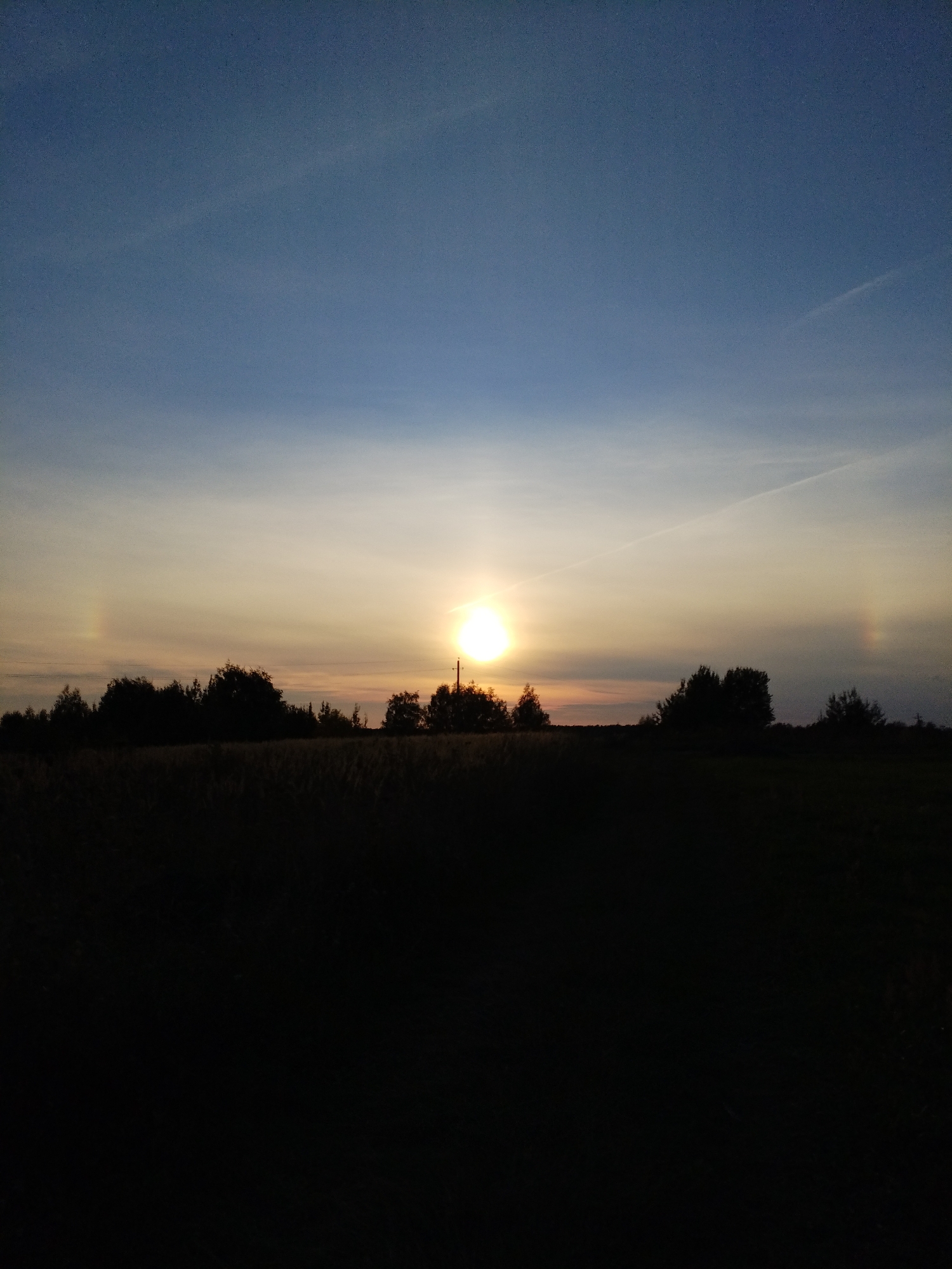 This is a photograph of a sunset over a rural landscape, possibly on the outskirts of Bialynichy, Belarus. The sun is low in the sky, casting a warm glow and creating a gradient of colors from yellow near the horizon to blue at the top of the frame. There are two distinct sun dogs, or parhelia, visible, one on either side of the main sun, indicating atmospheric ice crystals. A silhouetted line of trees forms the horizon, with a field of grass or crops in the foreground, also silhouetted. A thin contrail is visible in the upper right quadrant of the sky. The overall impression is one of a calm, natural setting at dusk.