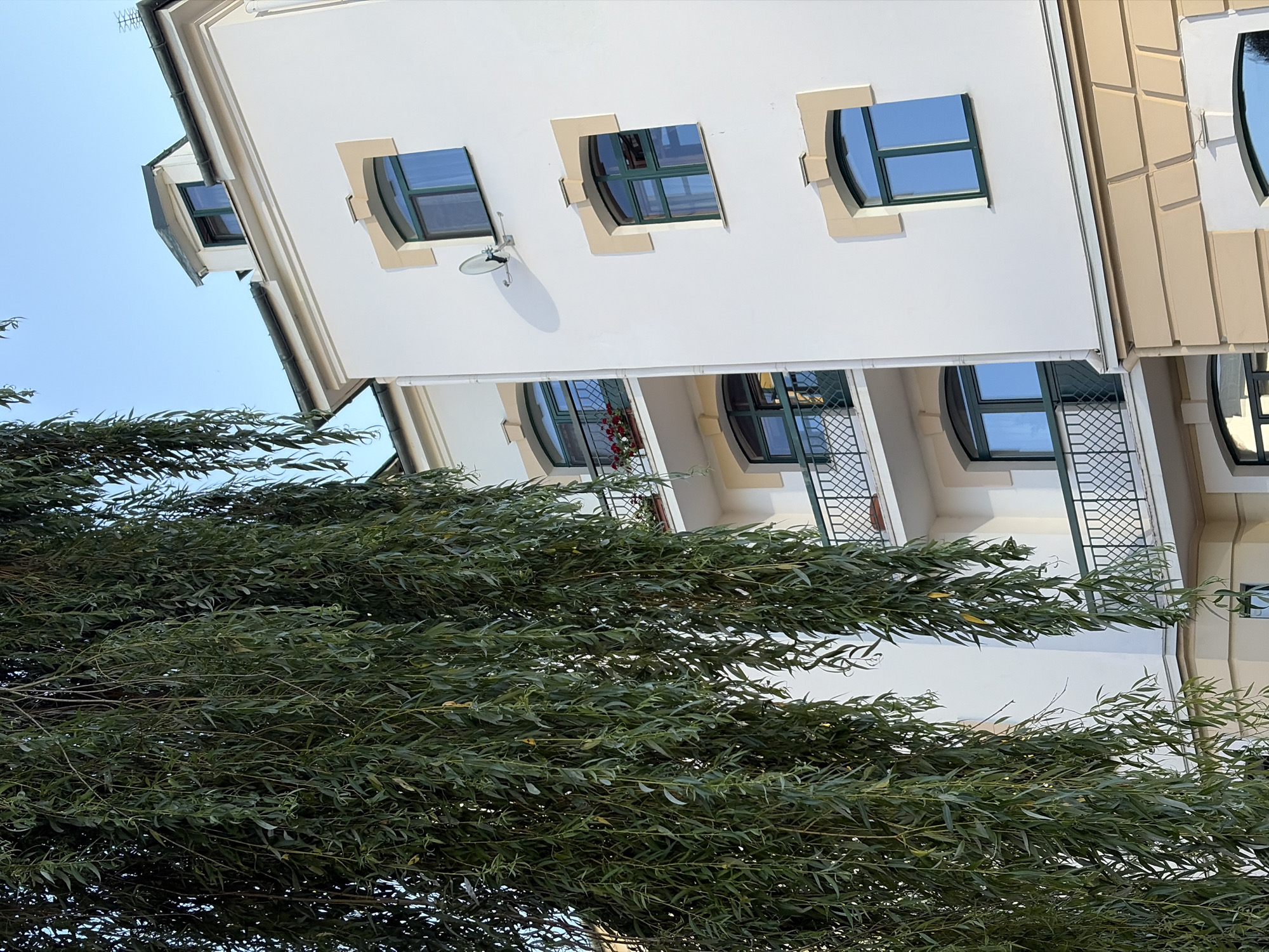 A close-up, eye-level shot captures the cascading branches of a weeping willow tree in the foreground, obscuring part of a white apartment building with light brown trim. The building has a modern aesthetic with several arched windows featuring dark green frames. Balconies with decorative railings punctuate the building's facade. A satellite dish is mounted on the wall between two windows. The clear blue sky serves as the backdrop. The location is identified as Minsk, Belarus.