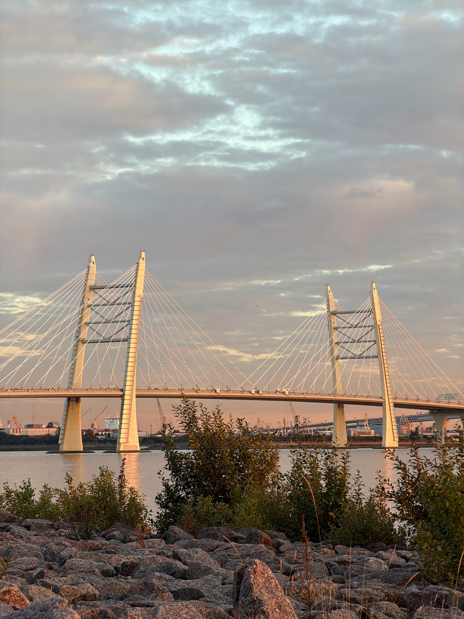 This is a photograph of the Western High-Speed Diameter (WHSD) bridge in Saint Petersburg, Russia, taken at sunset. The bridge is a modern cable-stayed bridge spanning across a body of water, likely the Neva River. The foreground features a rocky shoreline with vegetation. In the background, industrial elements such as cranes and ships are visible, suggesting a port or industrial area. The sky is filled with dramatic clouds, illuminated by the warm hues of the setting sun, casting a golden glow on the bridge and water. There are no people visible in the image.